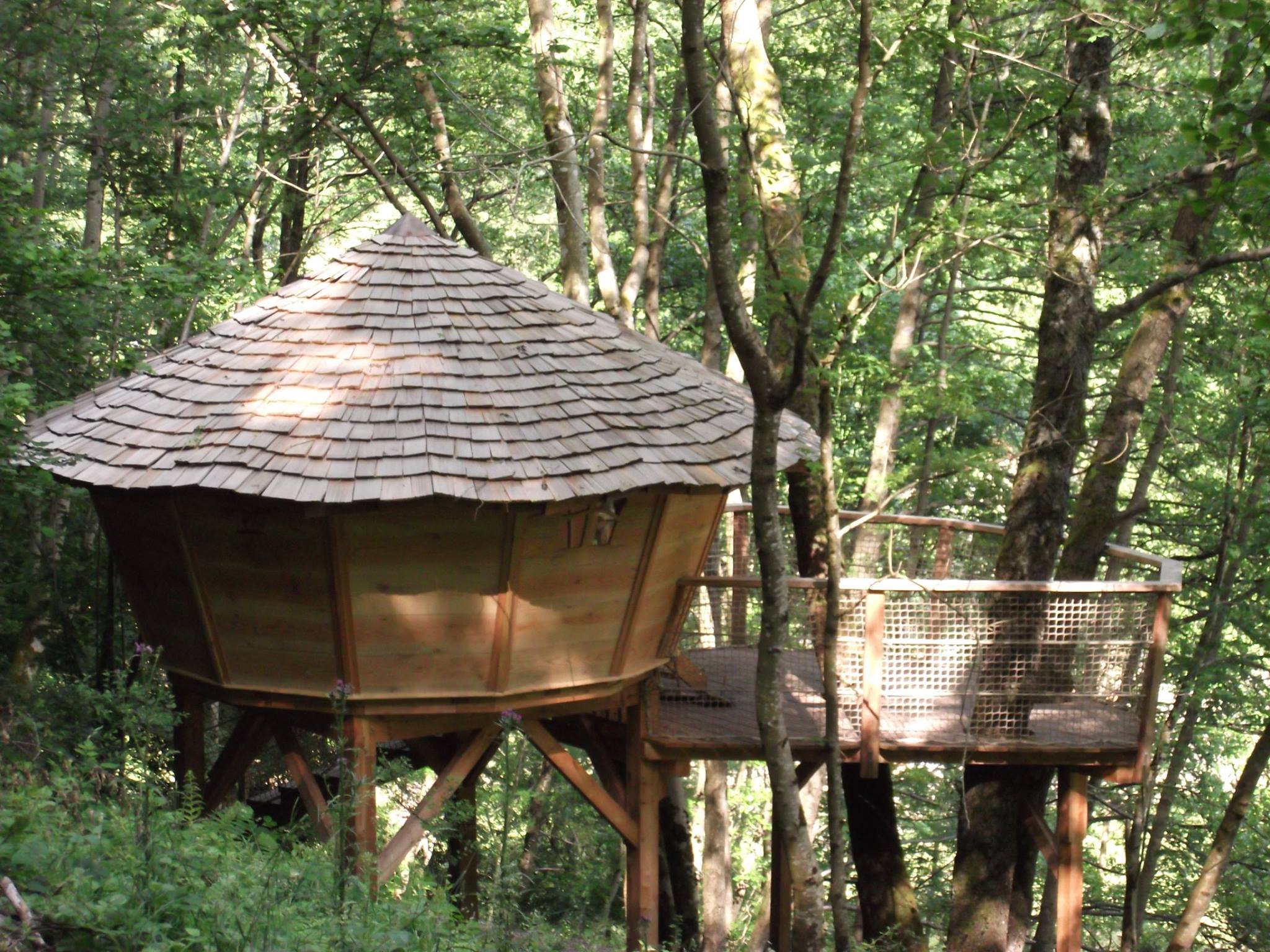 Une cabane sur pilotis : Le Petit Toit du Monde en Alsace à Grandfontaine — chambre