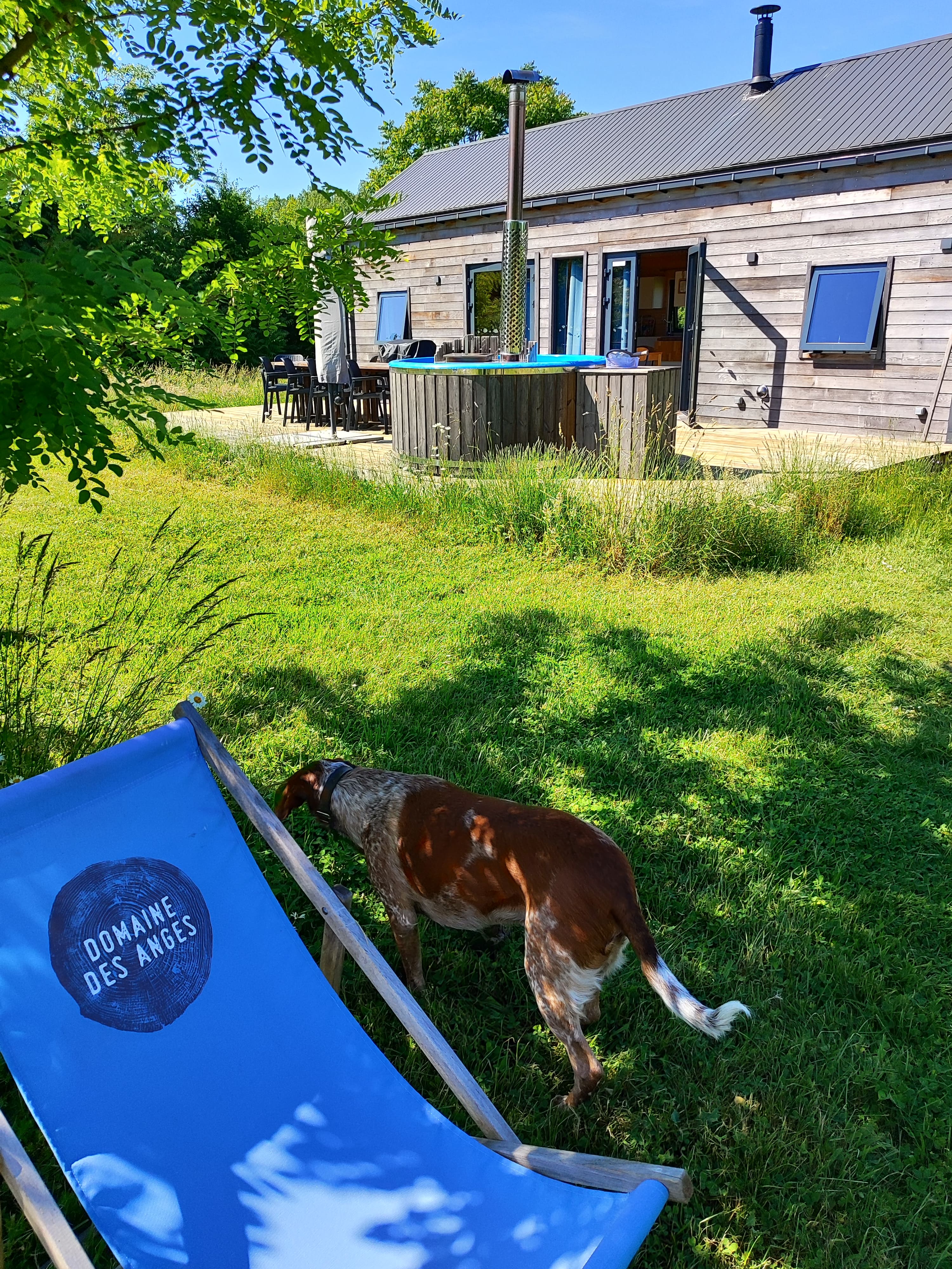 Cabane du Renard — Ecolodge avec spa à Loir-et-Cher à La Ferté-Imbault — vue intérieure
