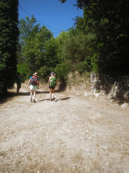 Évasion sensorielle dans un écolodge au cœur de la nature à Saint Andéol De Vlas — détail architectural