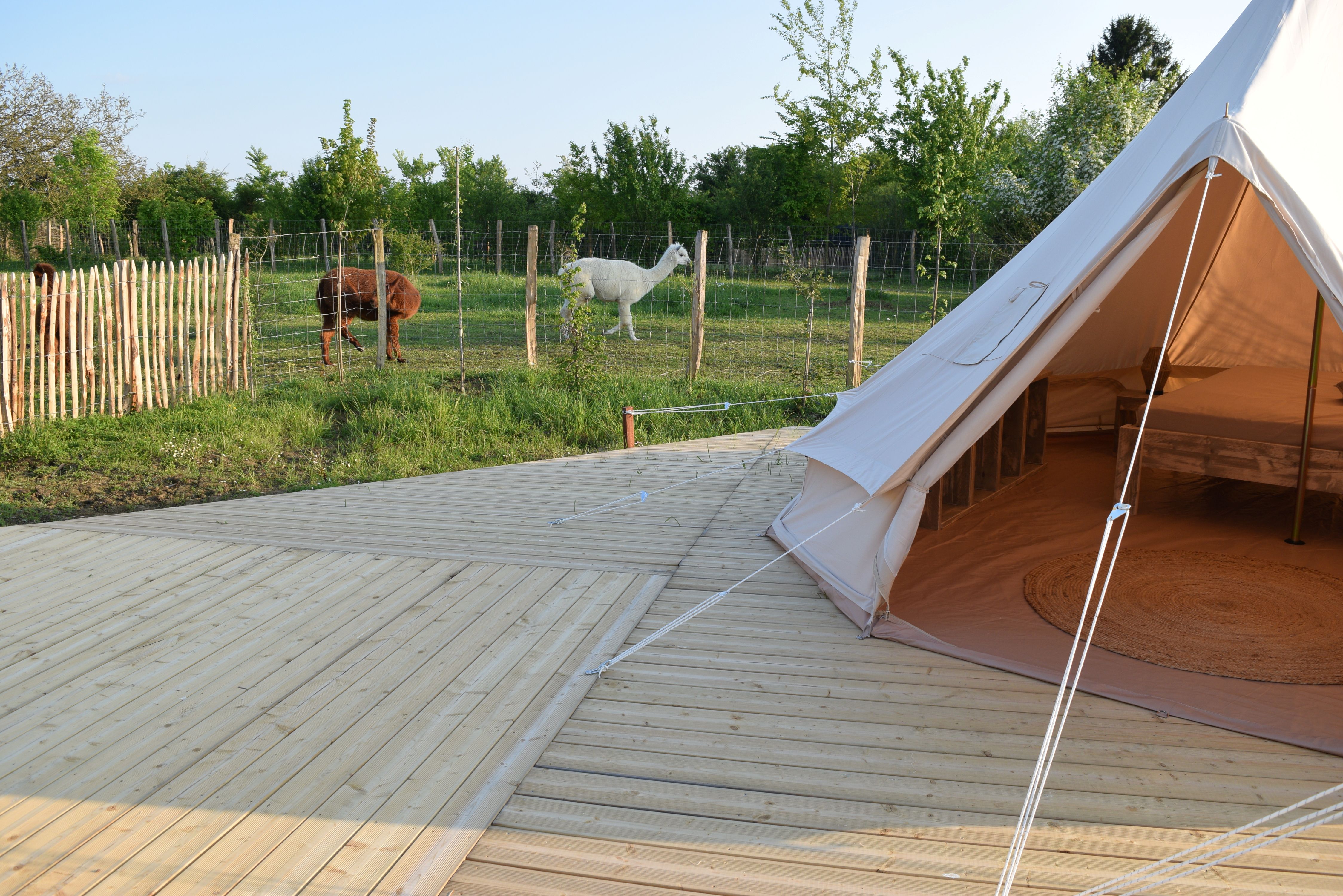 Tente Lima — Séjour nature avec spa à Maine-et-Loire