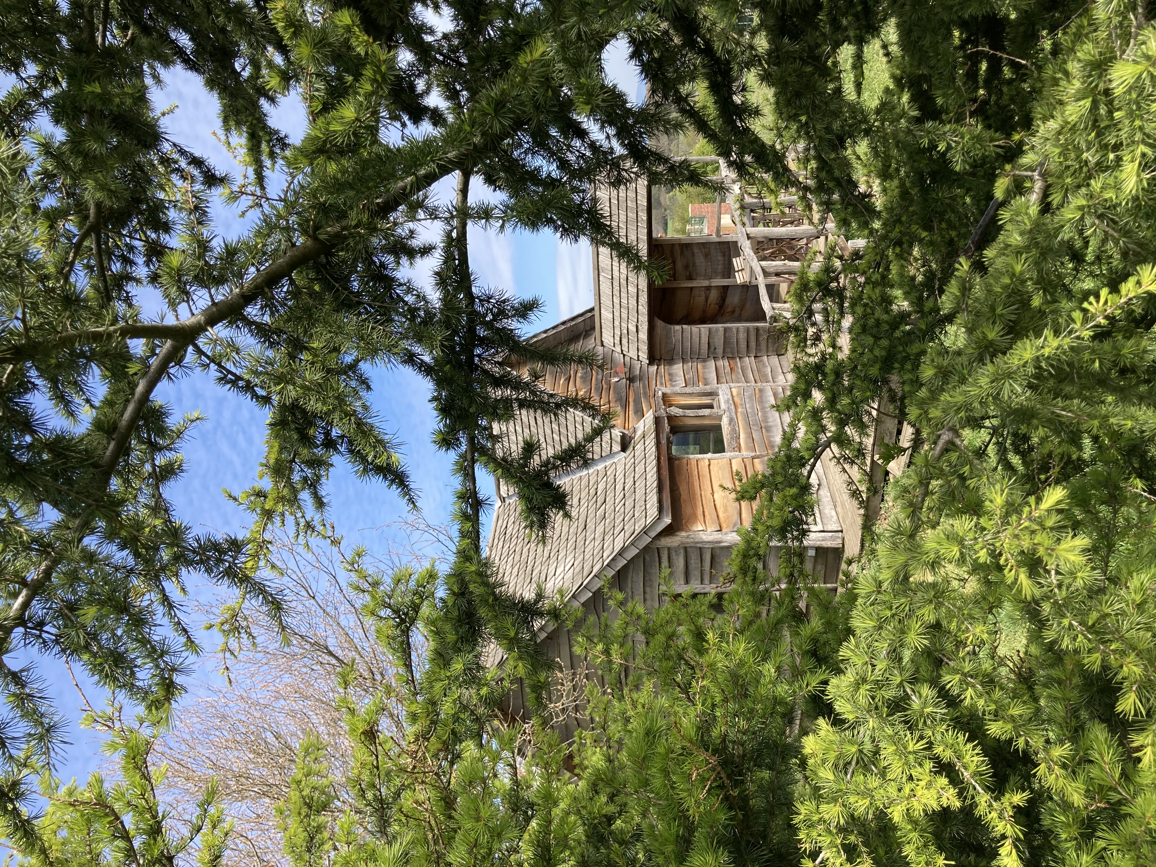 Photo 6/9 — Cabane « La Cabane de Trappeur de Campras : une expérience immersive en pleine nature » à Saissac Aude