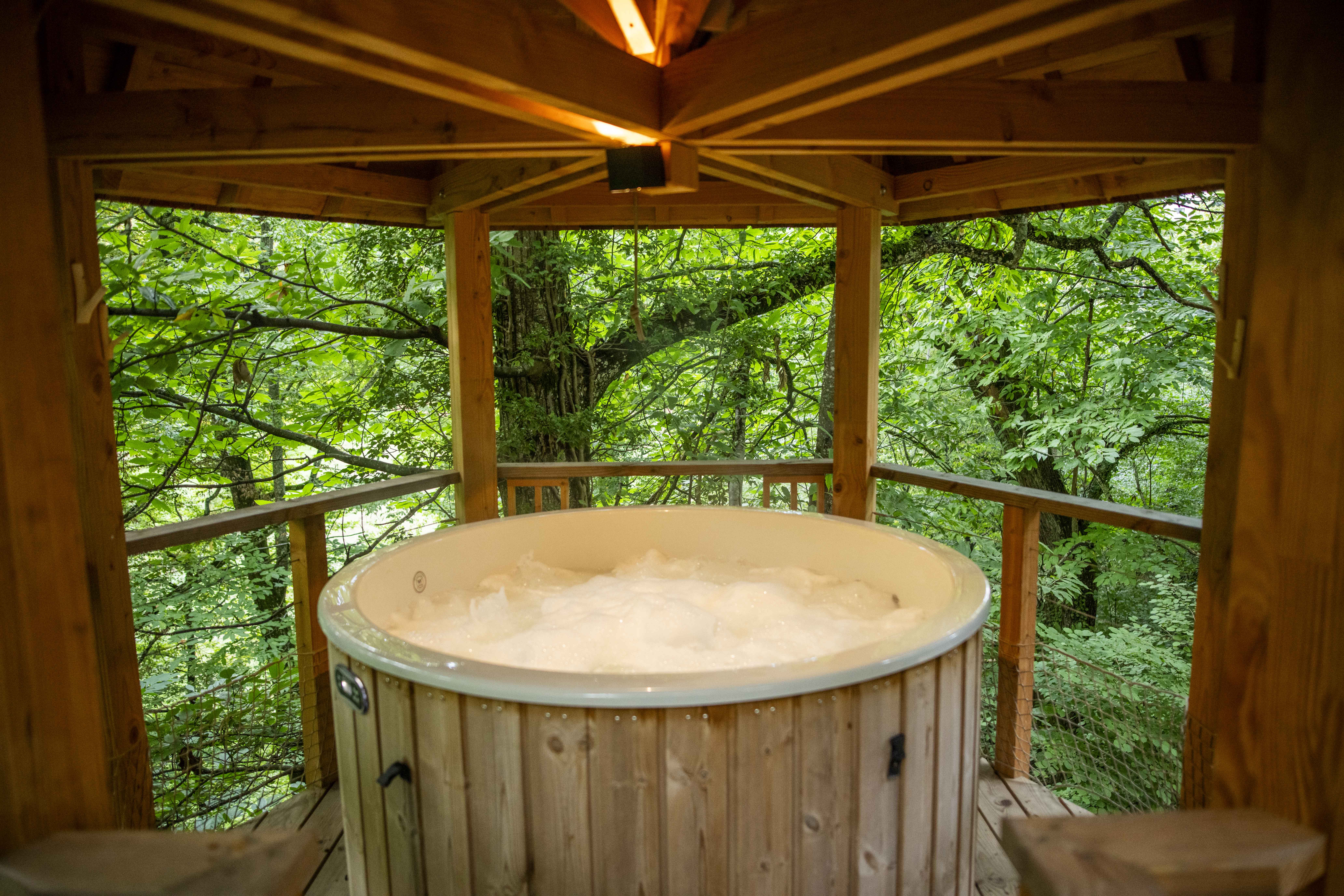 Évasion romantique dans une cabane SPA sur pilotis à Gillonnay — espace de vie