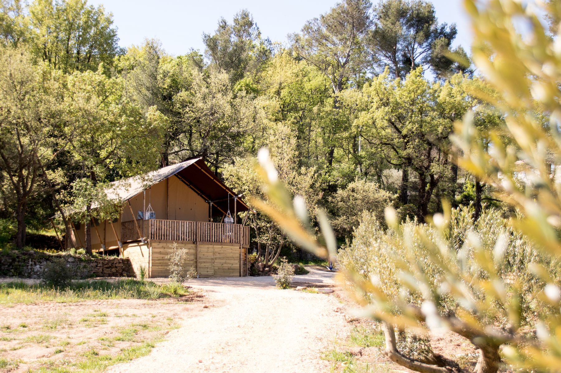 Tente Lodge Spa La Pinède : un safari en pleine nature