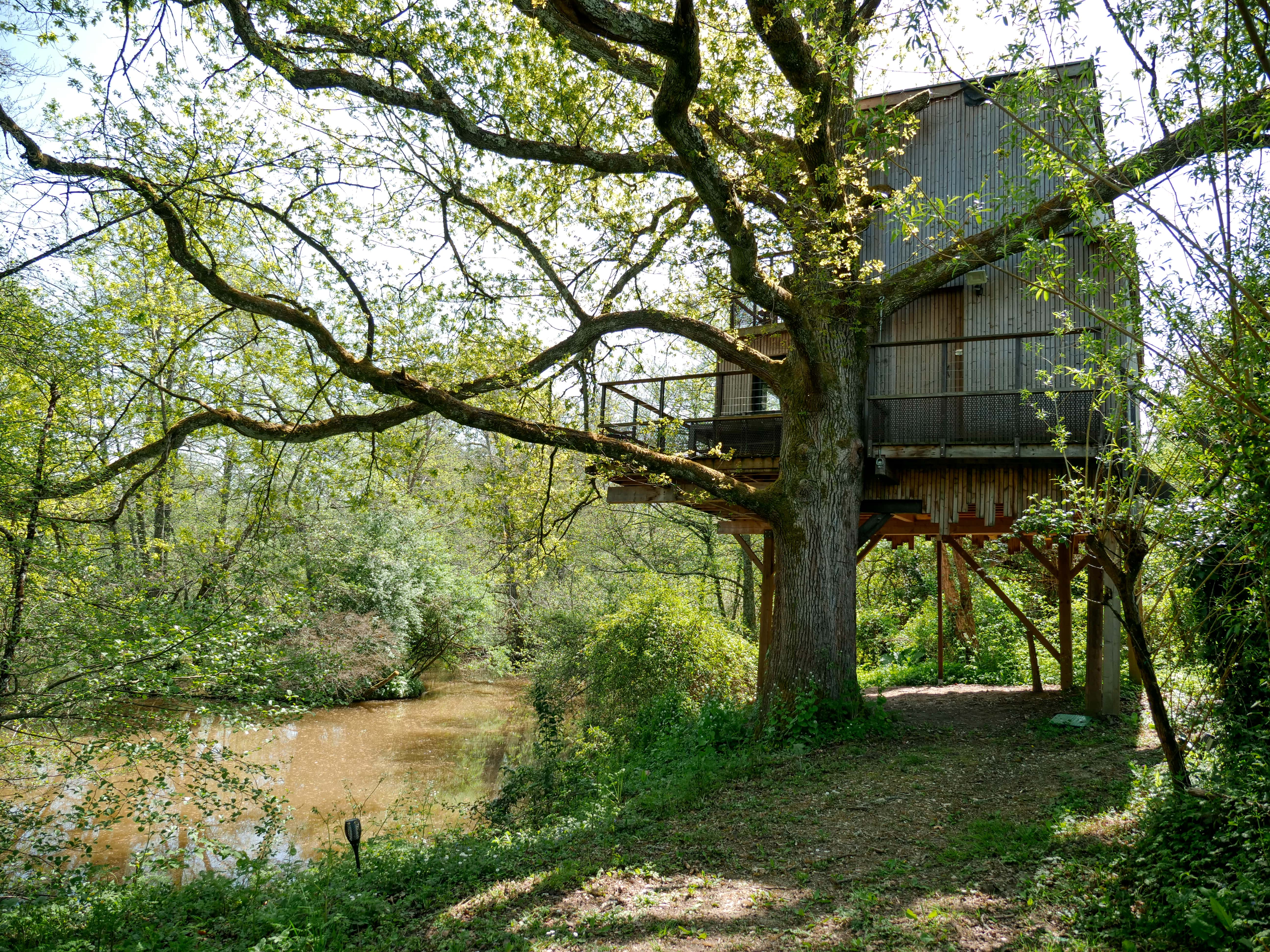 Cabane « Une cabane perchée au bord d'un lac privé en Aquitaine » — Sadirac (Gironde)