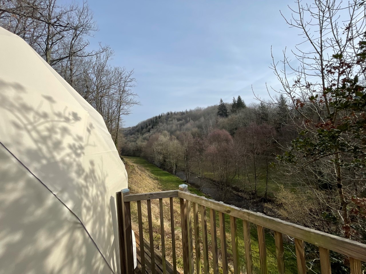 Dôme Spa dans les Arbres : une expérience immersive en Auvergne à Saint Constant — cuisine