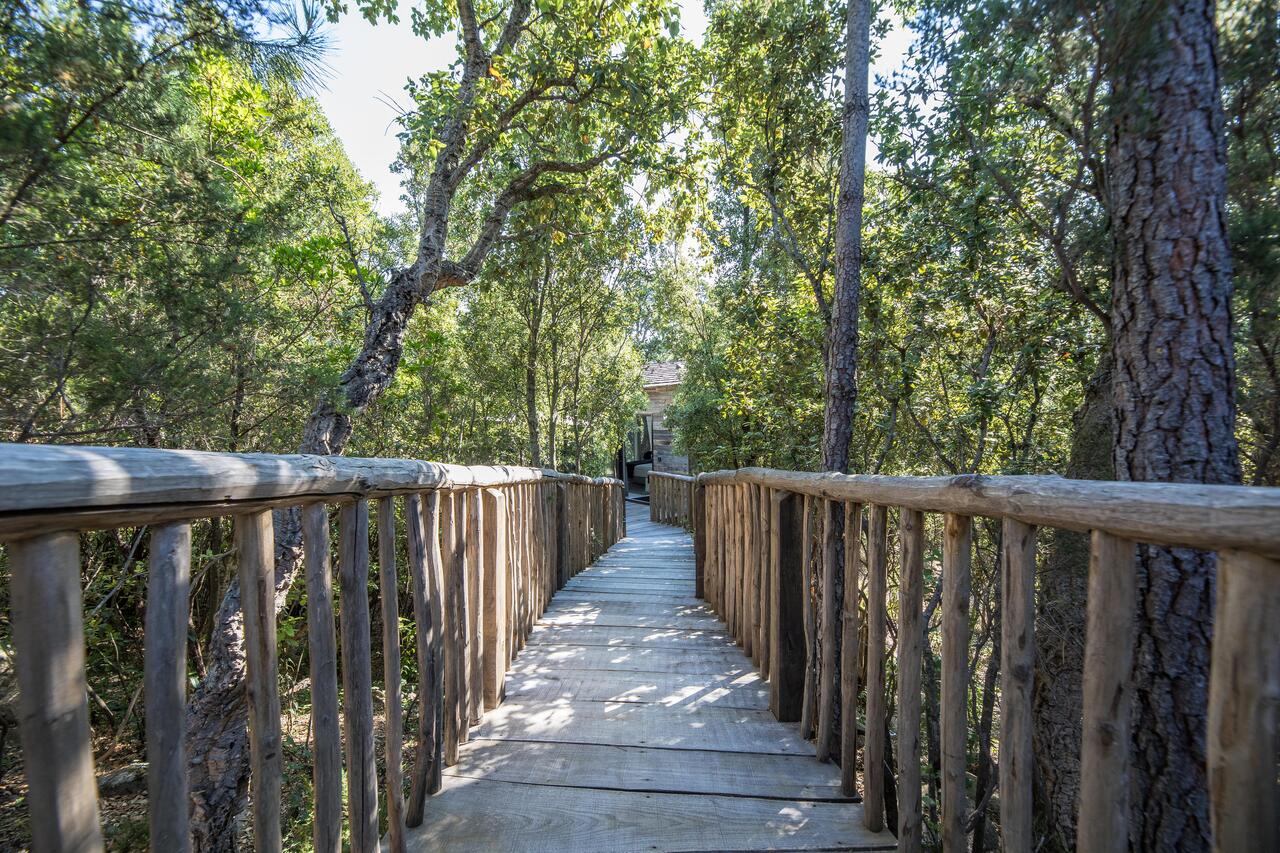 Orion, Cabane Casanghjulina — Cabane dans les arbres avec spa en Corse à Azilone-Ampaza — vue intérieure