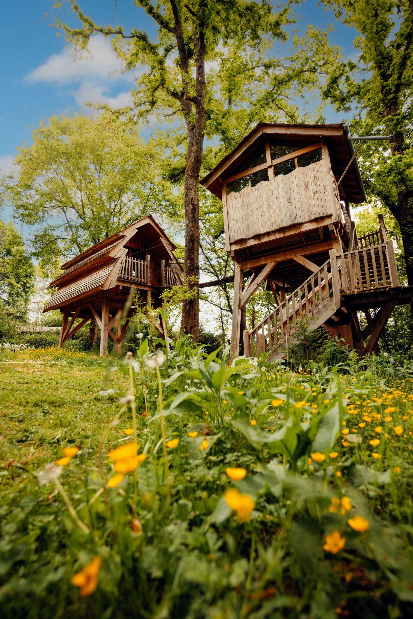 Cabane Spa Enchantée : une immersion dans les arbres en Picardie — Cabane à Rosoy-En-Multien