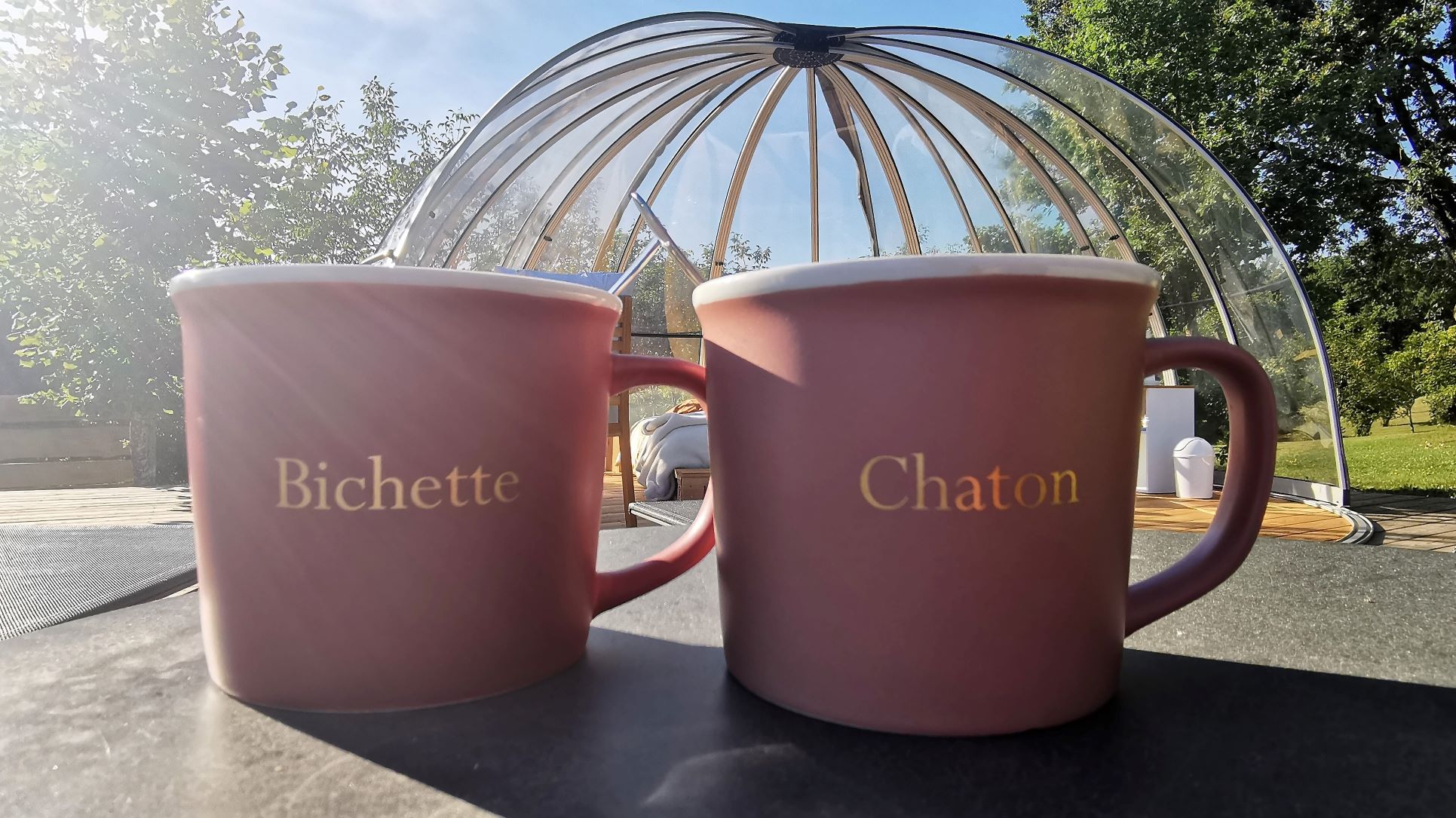 Dôme Céleste — Nuit étoilée à Charente à Saint-Severin — cuisine