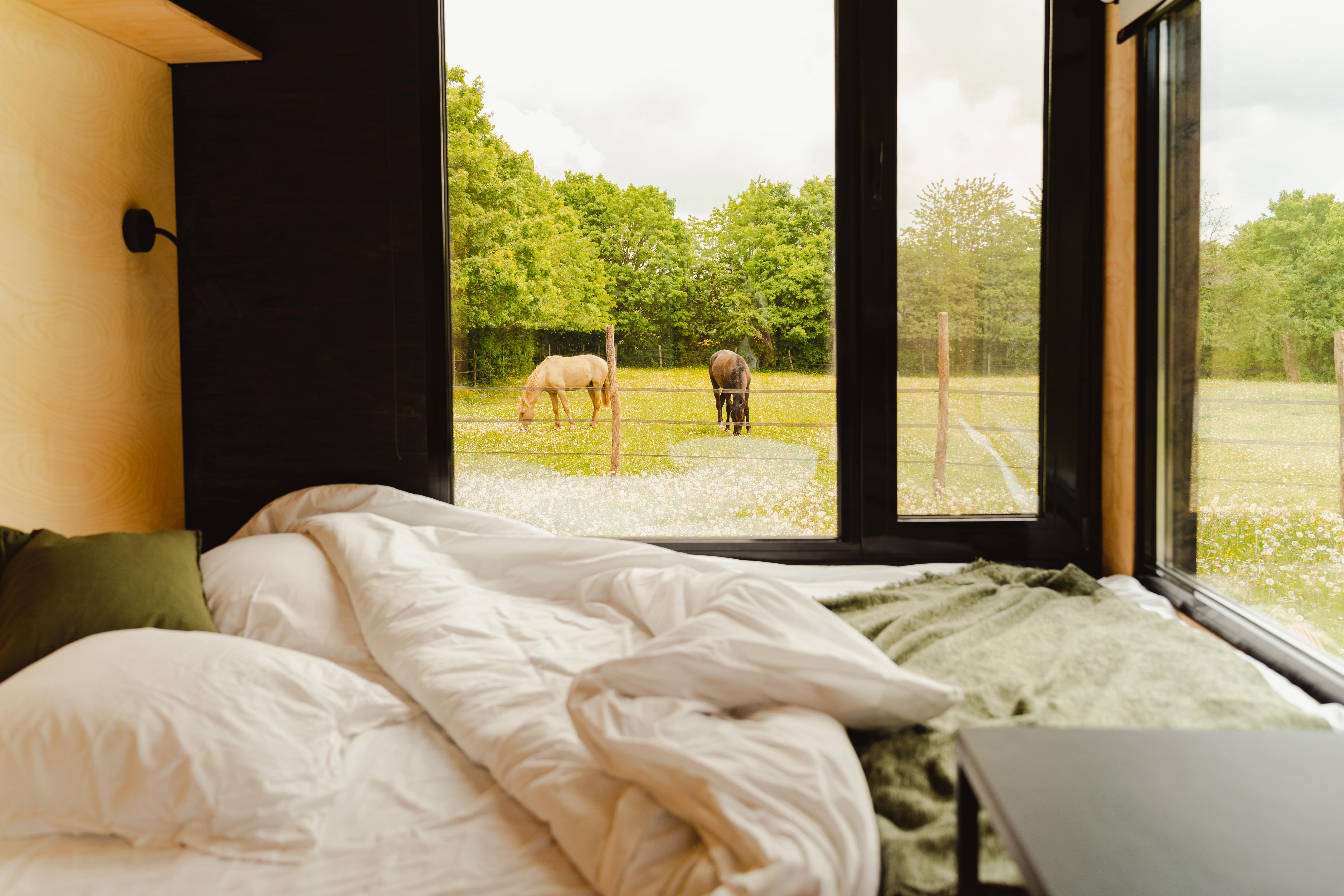 Une Tiny House au cœur du Perche, entre nature et chevaux à Dame-Marie — espace de vie