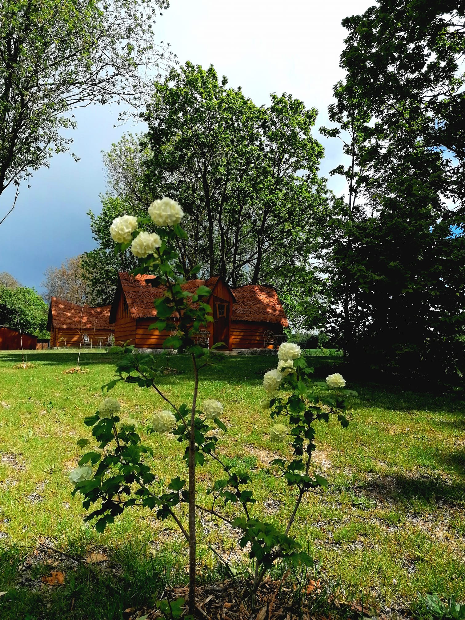 Grande Cabane de la Gare — Séjour relaxant avec spa à Lurey (Marne) à Esclavolles-Lurey — chambre