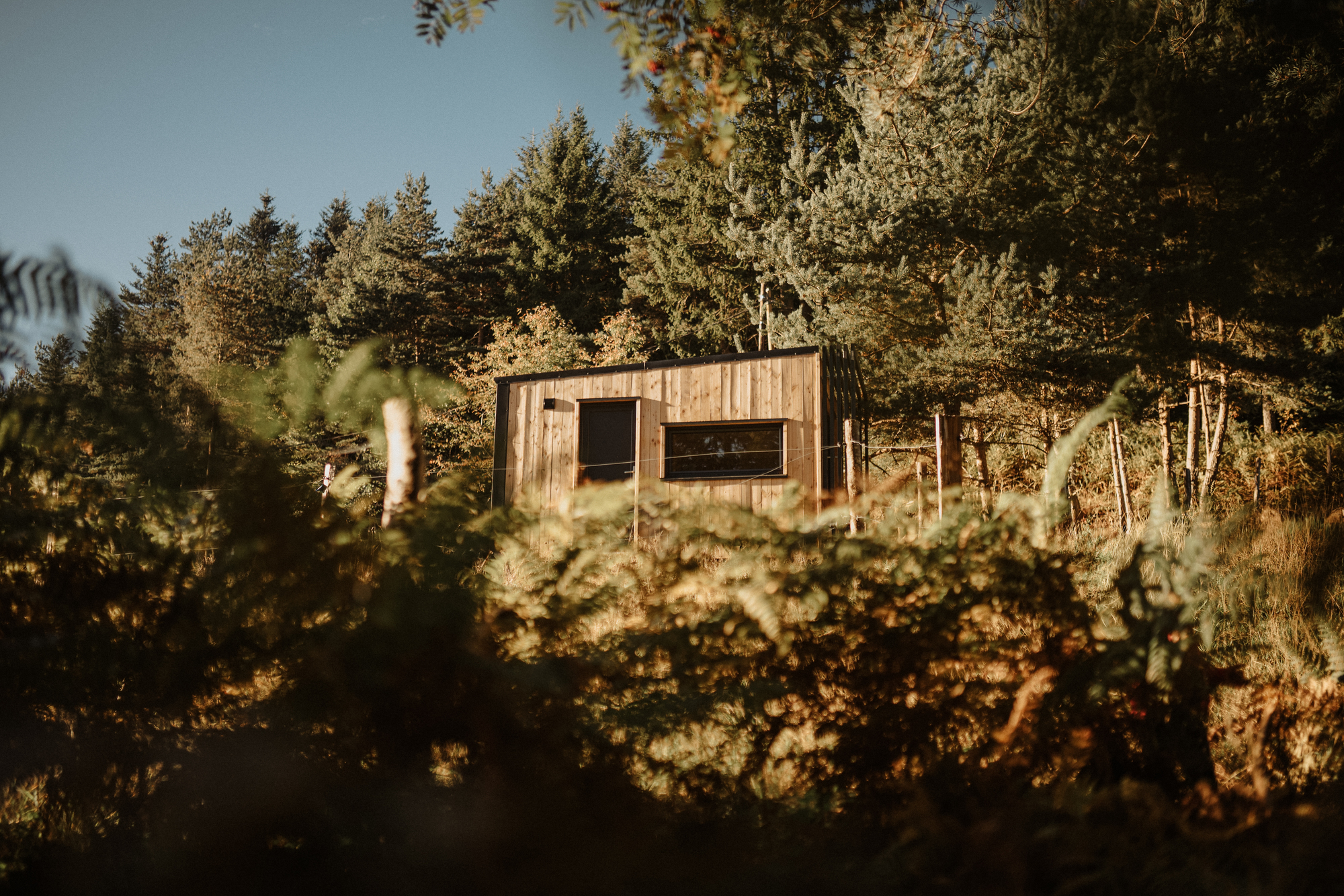 Homnest - L'Instant Sauvage — Tiny House avec vue cimes à Riotord