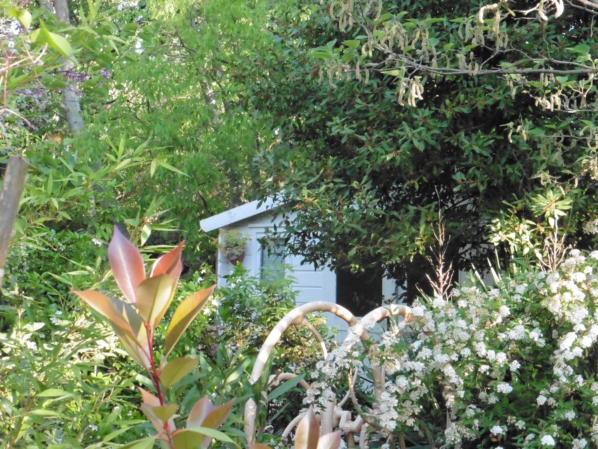 Tiny Églantine — Cabane avec spa à Le Portel des Arnaud à Durfort-et-Saint-Martin-de-Sossenac — vue depuis la terrasse