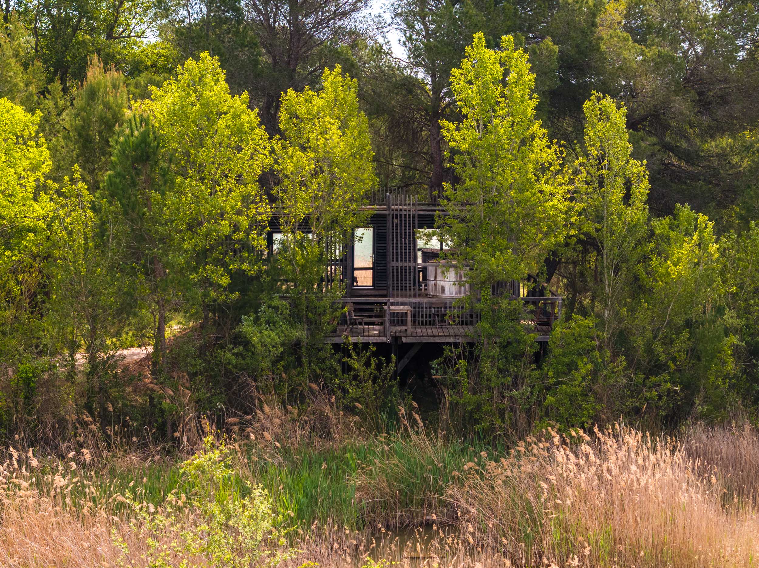 Cabane Spa Horizon : une expérience unique en Provence