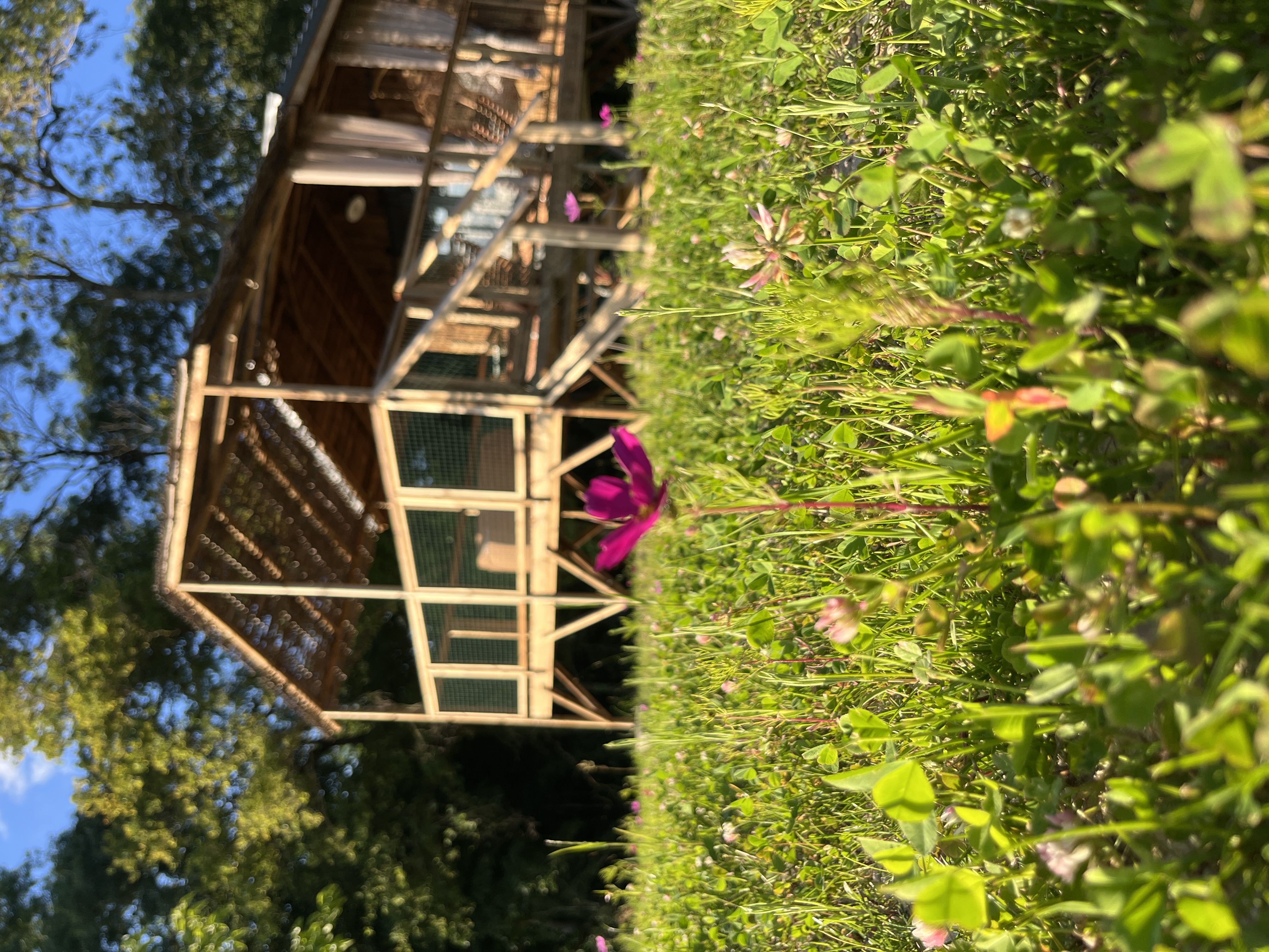 Cabane Lodge duo SPA : une escapade romantique en pleine nature à Chisseaux — vue intérieure