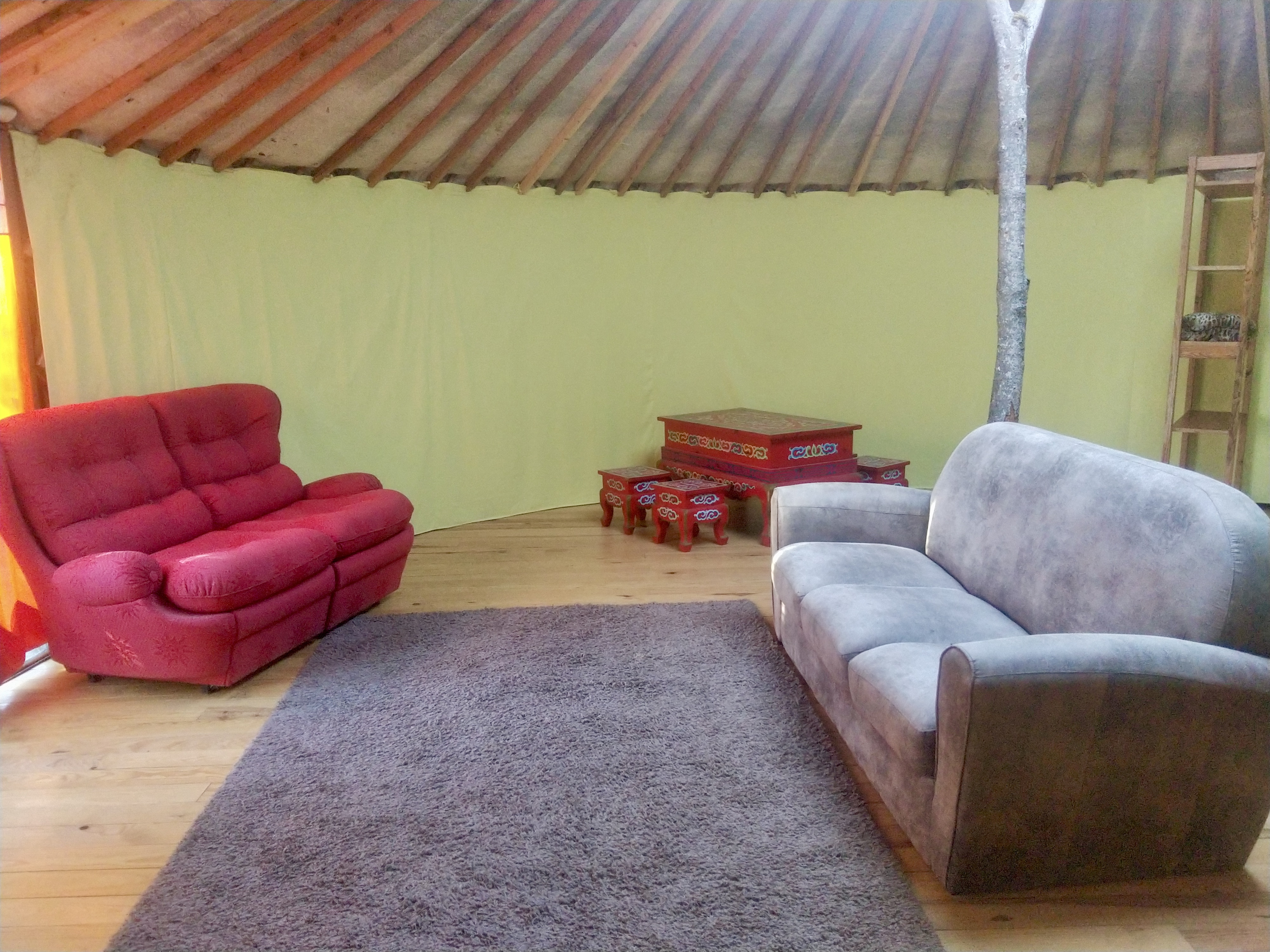 Séjournez dans une yourte au cœur de la nature provençale à Redortiers — vue depuis la terrasse