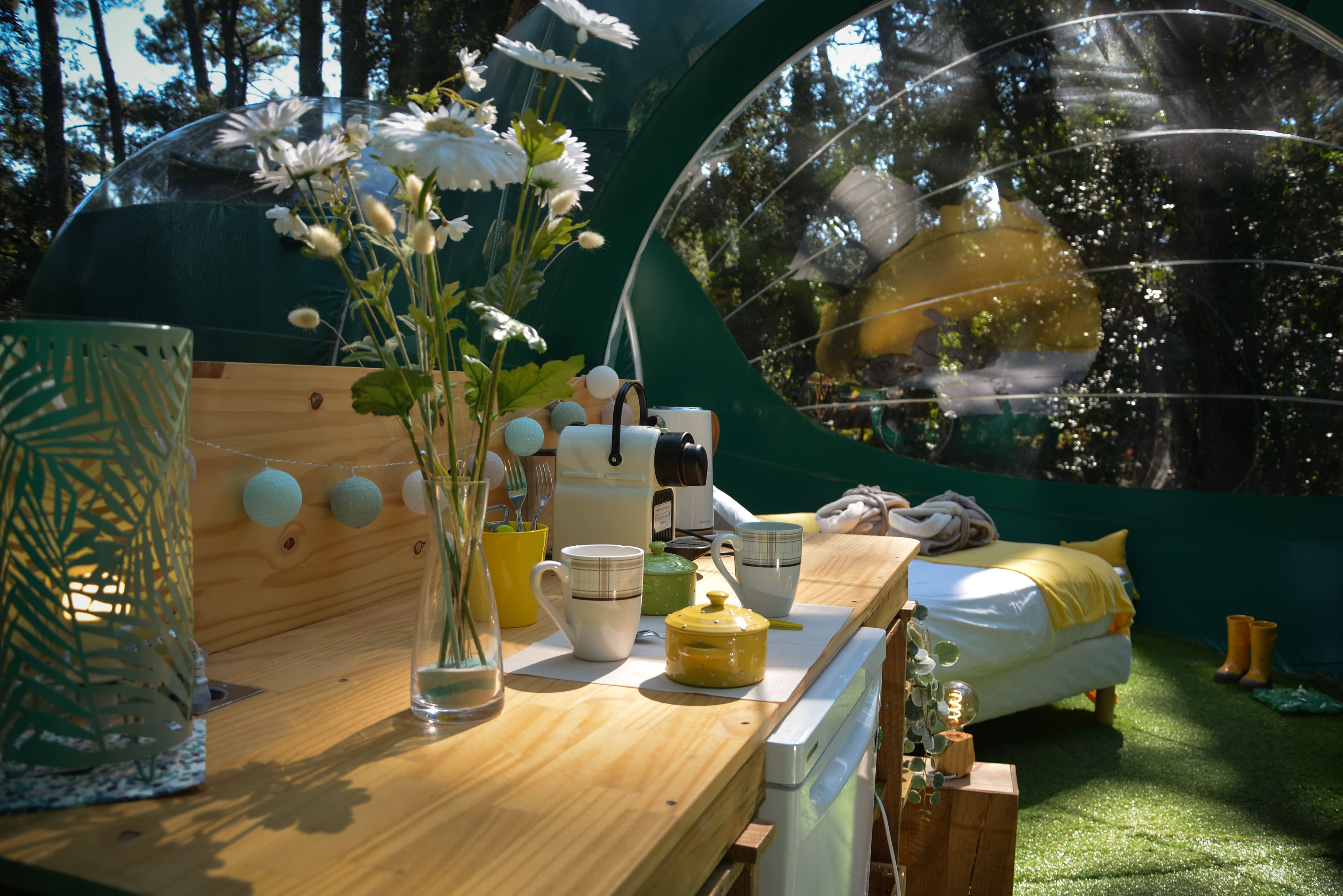 Bulle Verte d'Hossegor & Spa