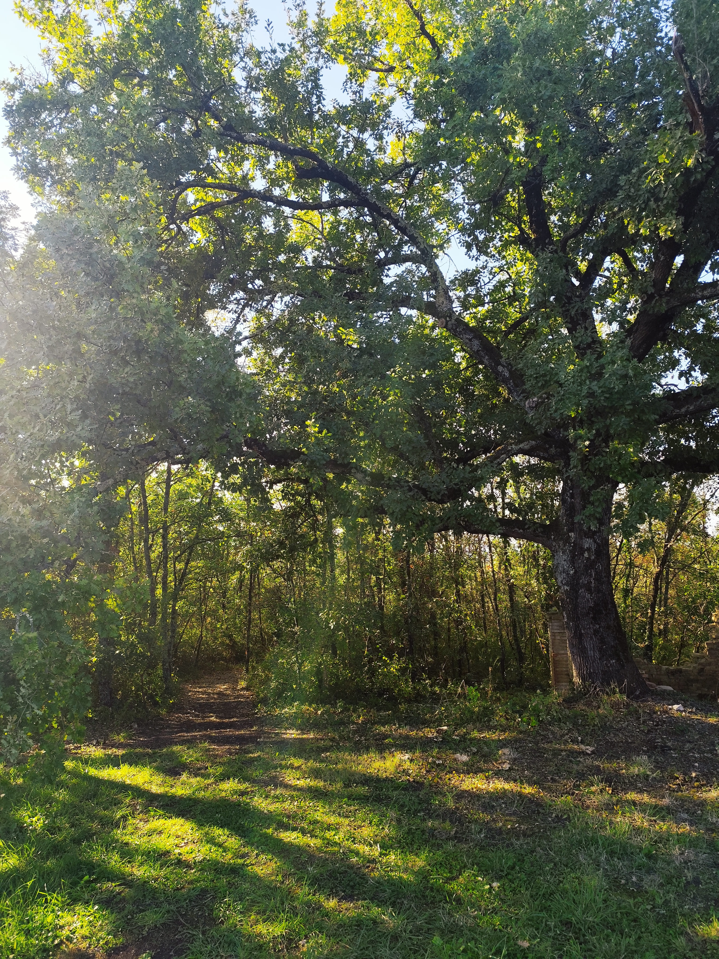 Cocon de verre avec Bain Nordique