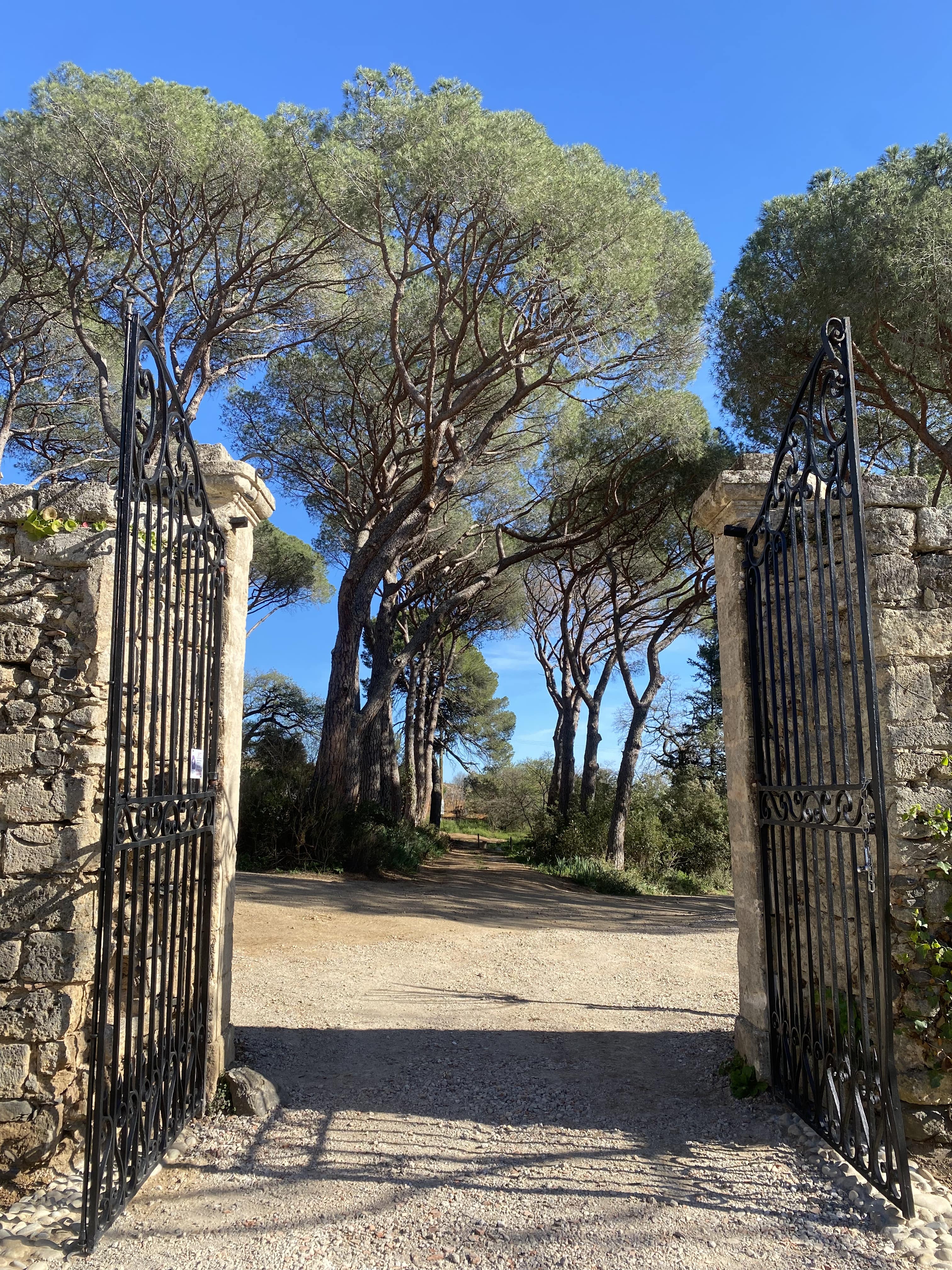 Le Pigeonnier du Château : un gîte insolite en Languedoc-Roussillon à Pezenas — environnement naturel