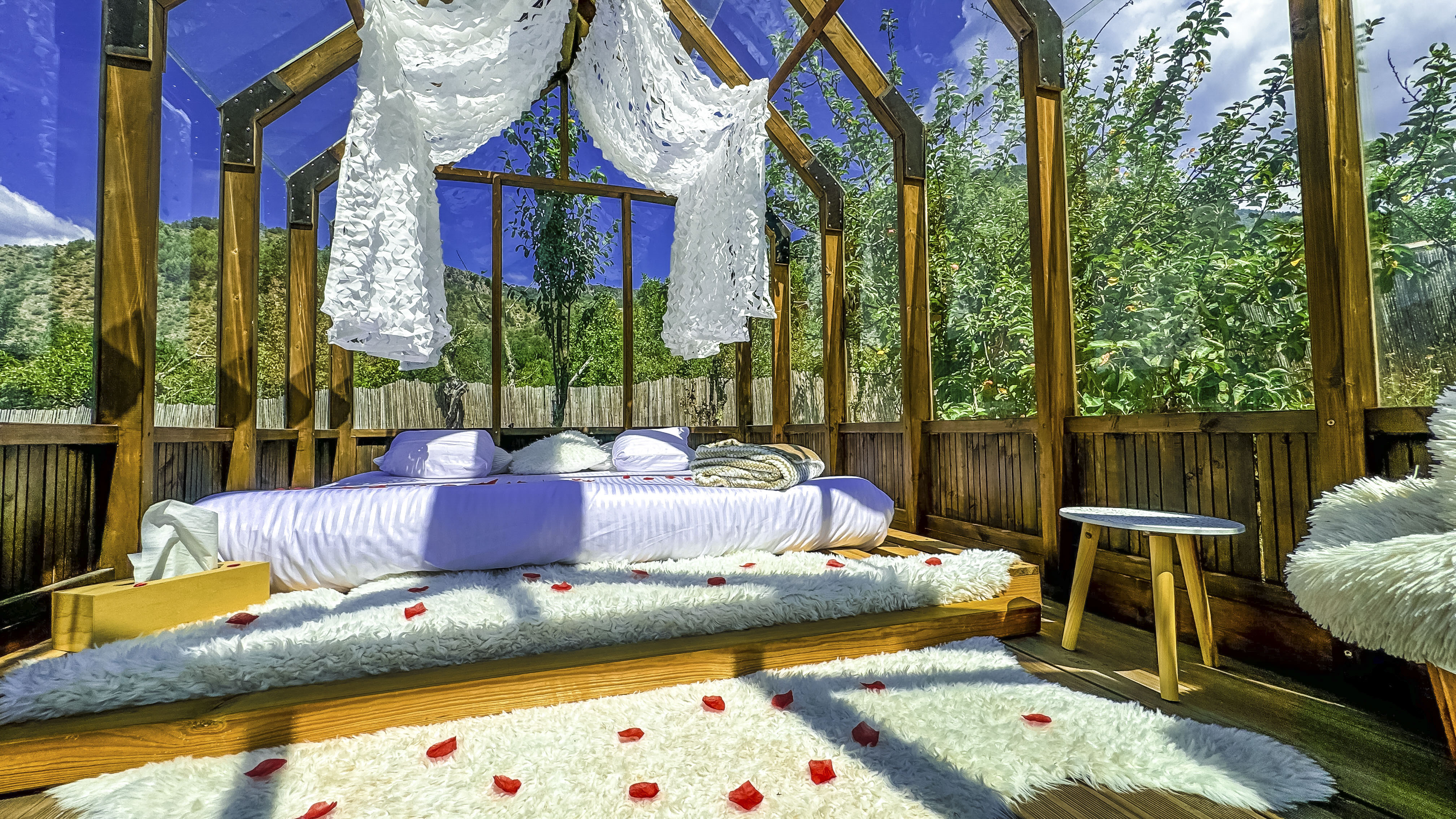 Chalet en verre sous une pluie d’étoiles : une expérience unique en Provence à Lantosque — environnement naturel