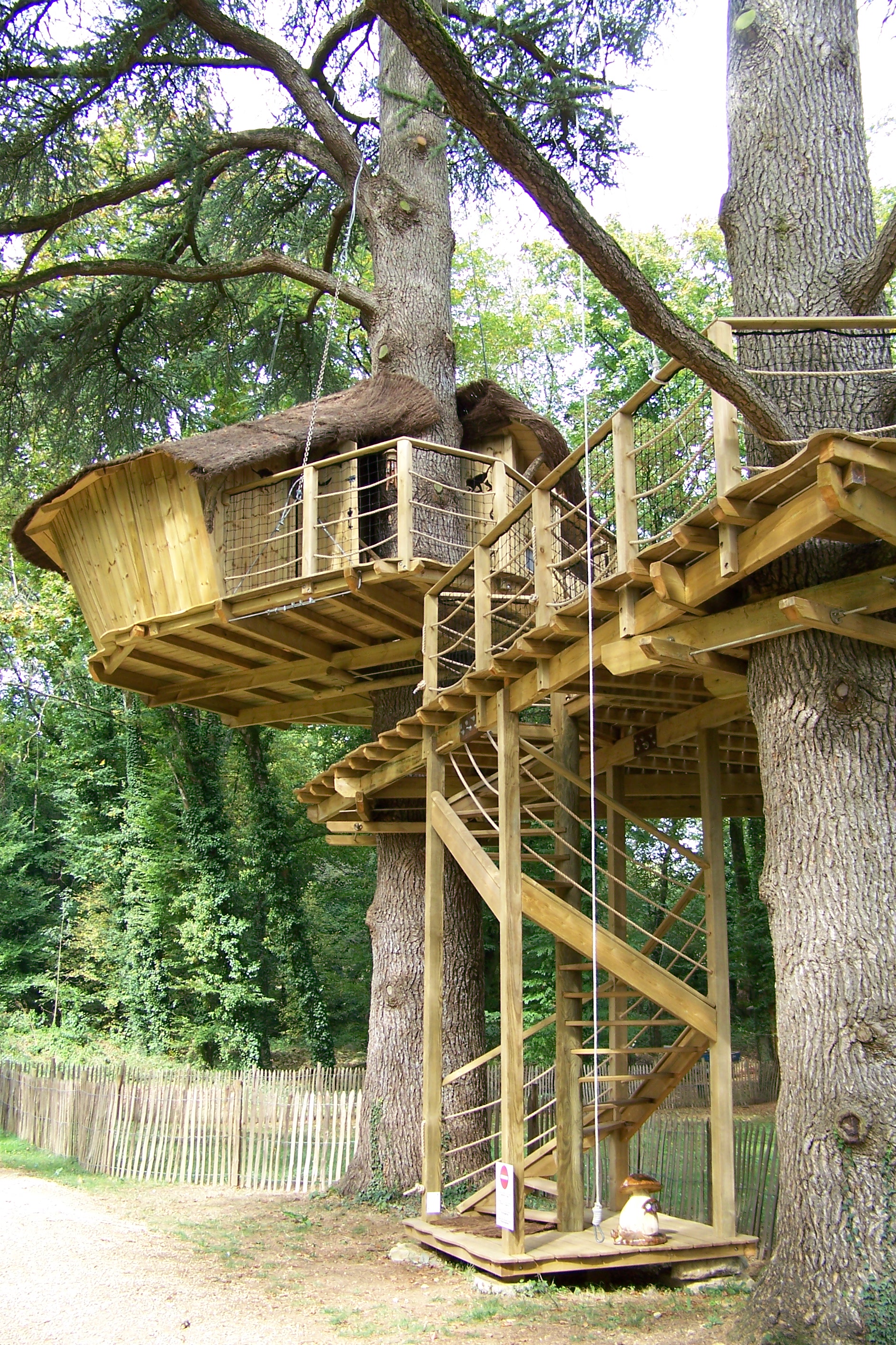 Cabane des Ouistitis : une expérience suspendue dans les arbres à Magné — vue intérieure