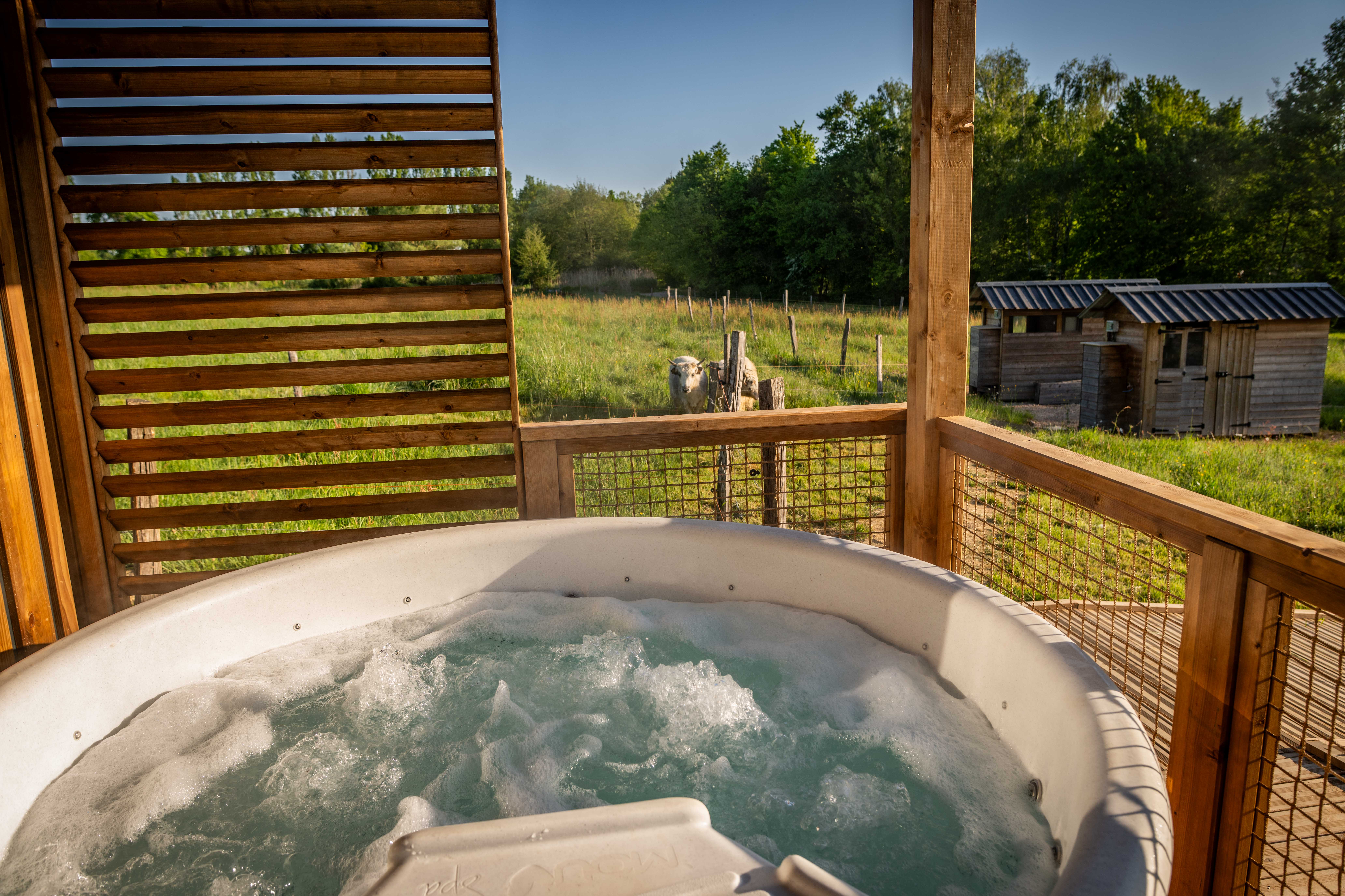 Cabane PMR Spa — Évasion relaxante à Ain à Meillonnas — cuisine