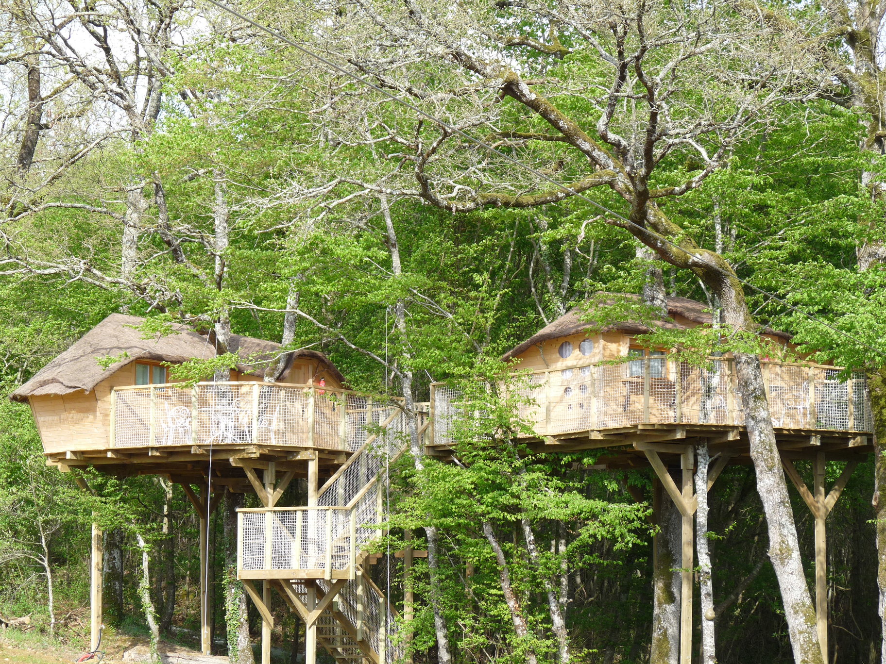 Cabane dans les Arbres — Nuit perchée à 8m au Domaine de Dienné