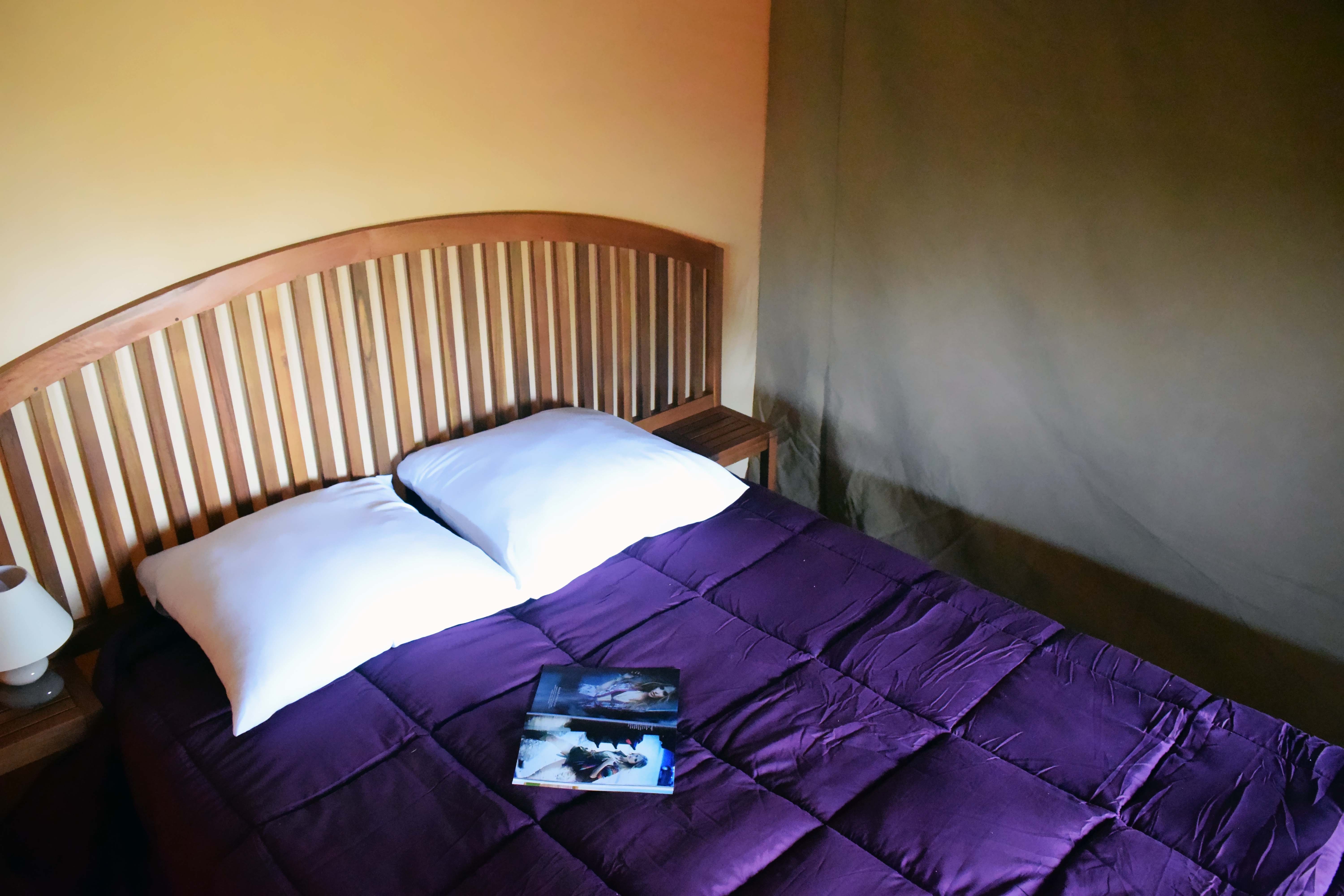Séjournez dans une tente lodge au cœur de la nature poitevine à Surgères — vue depuis la terrasse