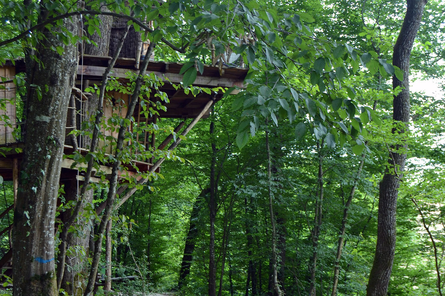 Cabane Mandubienne : une expérience suspendue dans les arbres à Ranchot — espace de vie