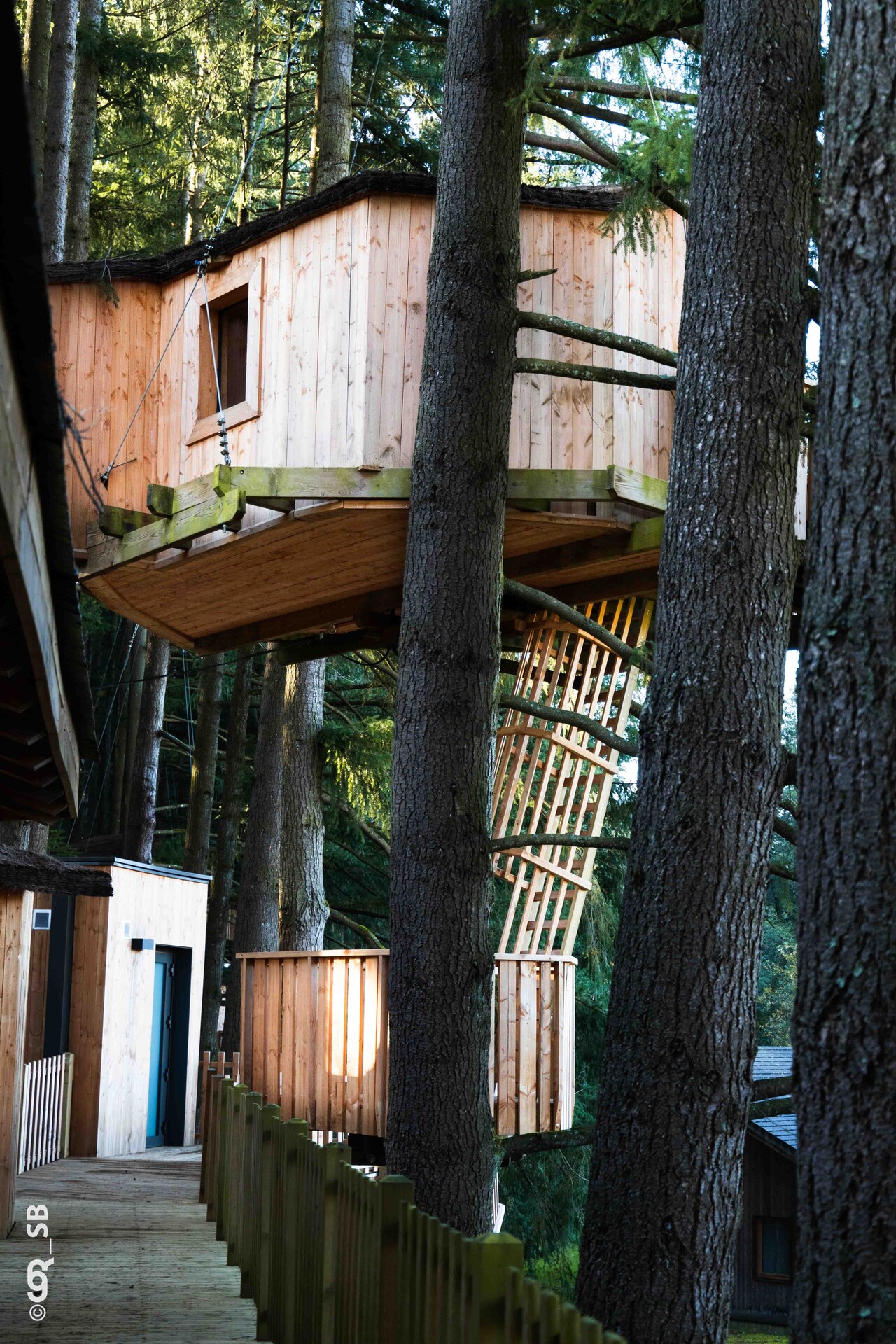 Cabane HERON — Séance sauna offerte à 8m de hauteur dans le Rhône