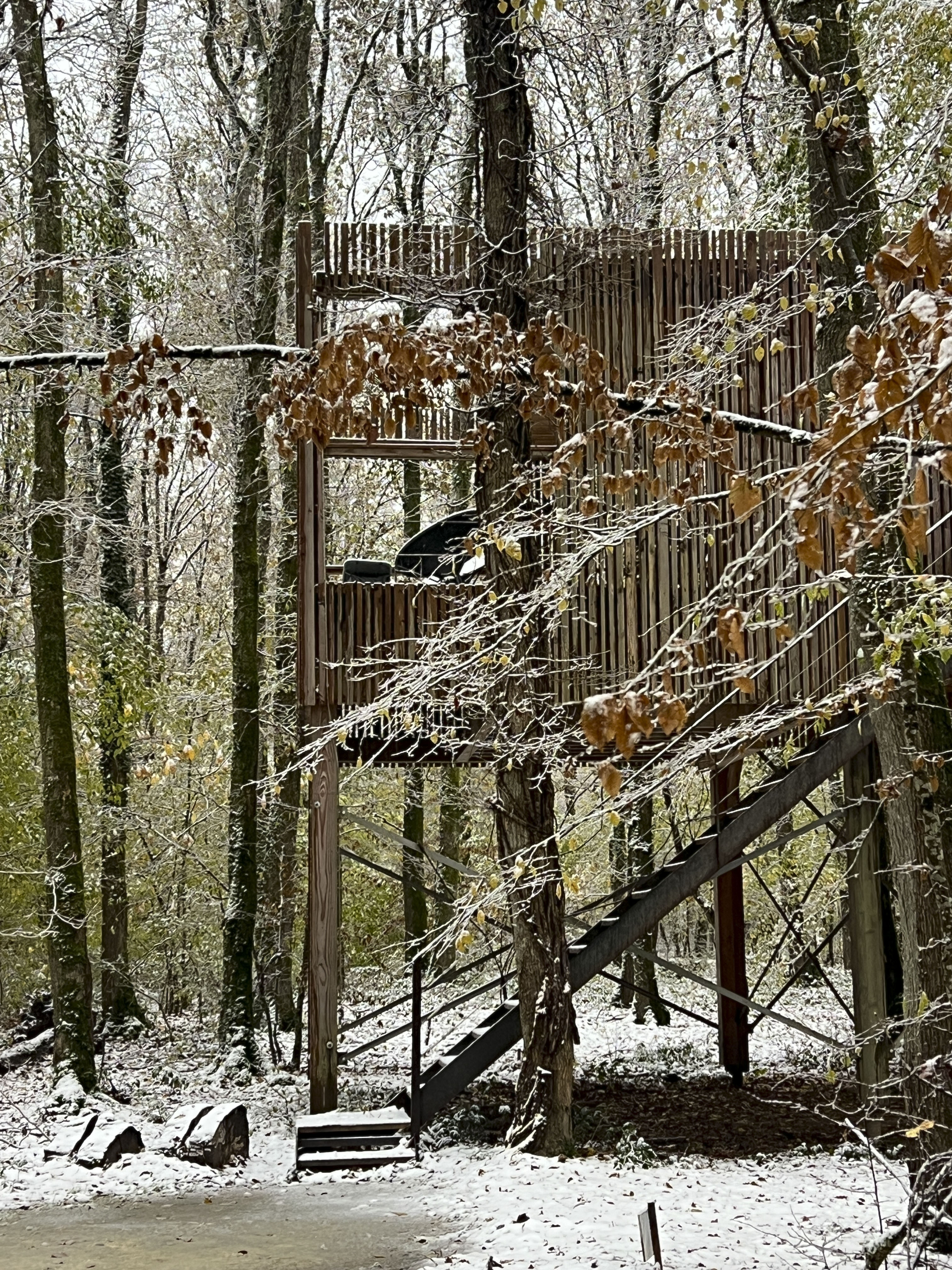 Lodge T(h)REES & Spa : une évasion sur pilotis à Esvres-Sur-Indre — vue intérieure