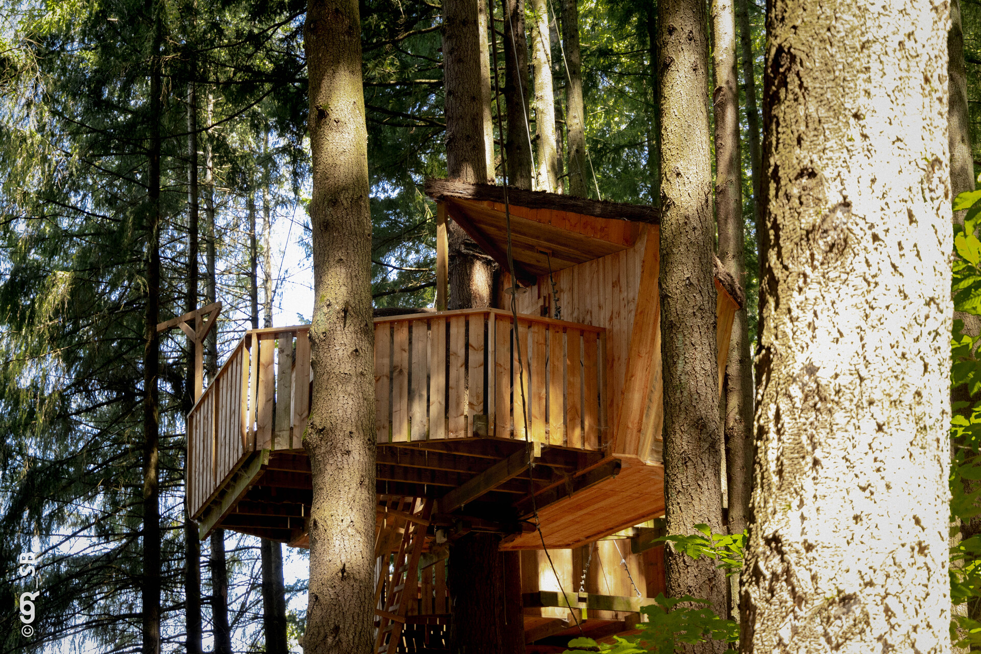 Cabane PERDRIX — Nuit perchée à 9m avec sauna à Rhône à Ronno — vue intérieure