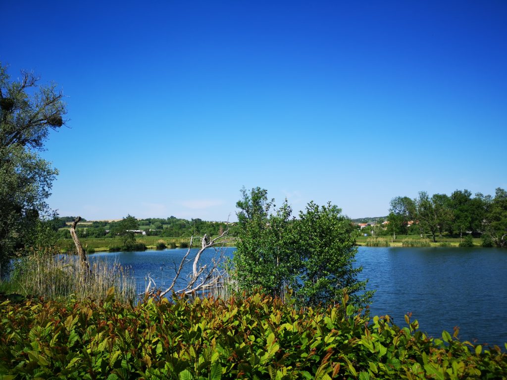 Le Tipi Etat Nature — Séjour insolite avec spa en Meurthe-et-Moselle à Nancy — environnement naturel
