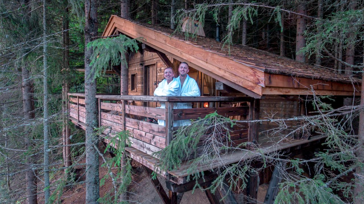 Évasion dans une cabane spa au cœur des arbres à Saint Nicolas La Chapelle — environnement naturel