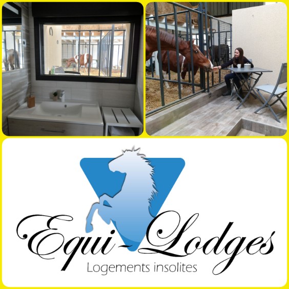 Lodge 2 - 4 pers. — Séjour paisible avec chevaux en Vosges à Épinal — environnement naturel