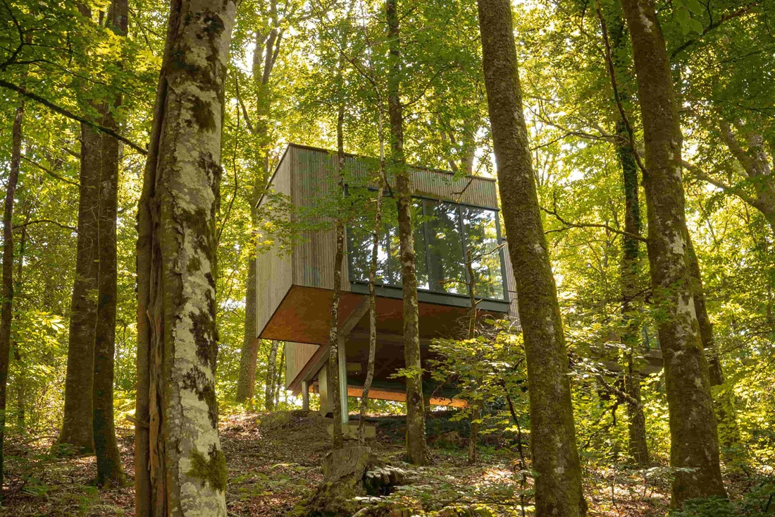 Cabane Hêtre : une immersion dans les arbres du Limousin — Cabane à Meyrignac L’Eglise