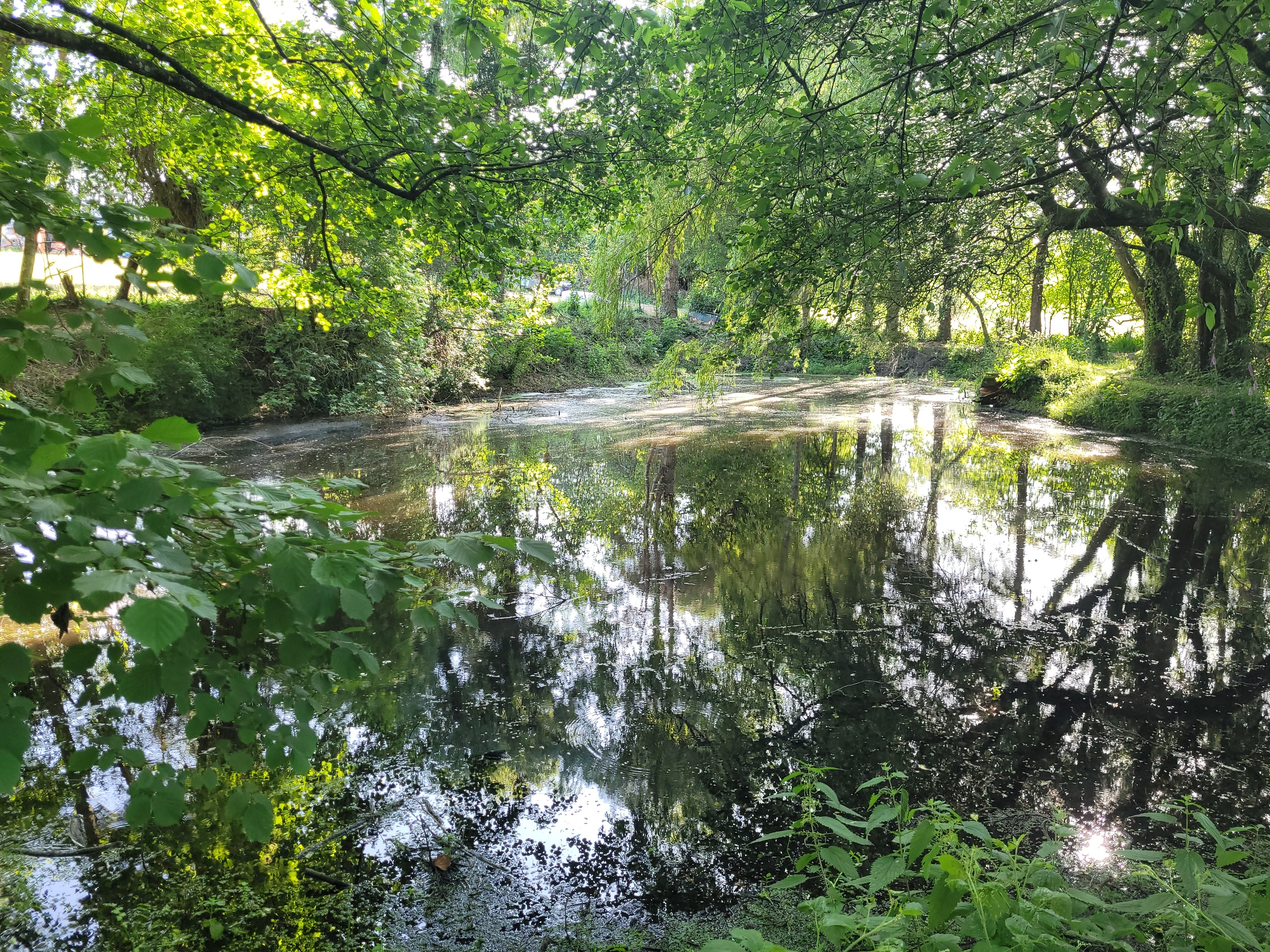 Évadez-vous dans une yourte mongole en Basse-Normandie à Souleuvre En Bocage — environnement naturel
