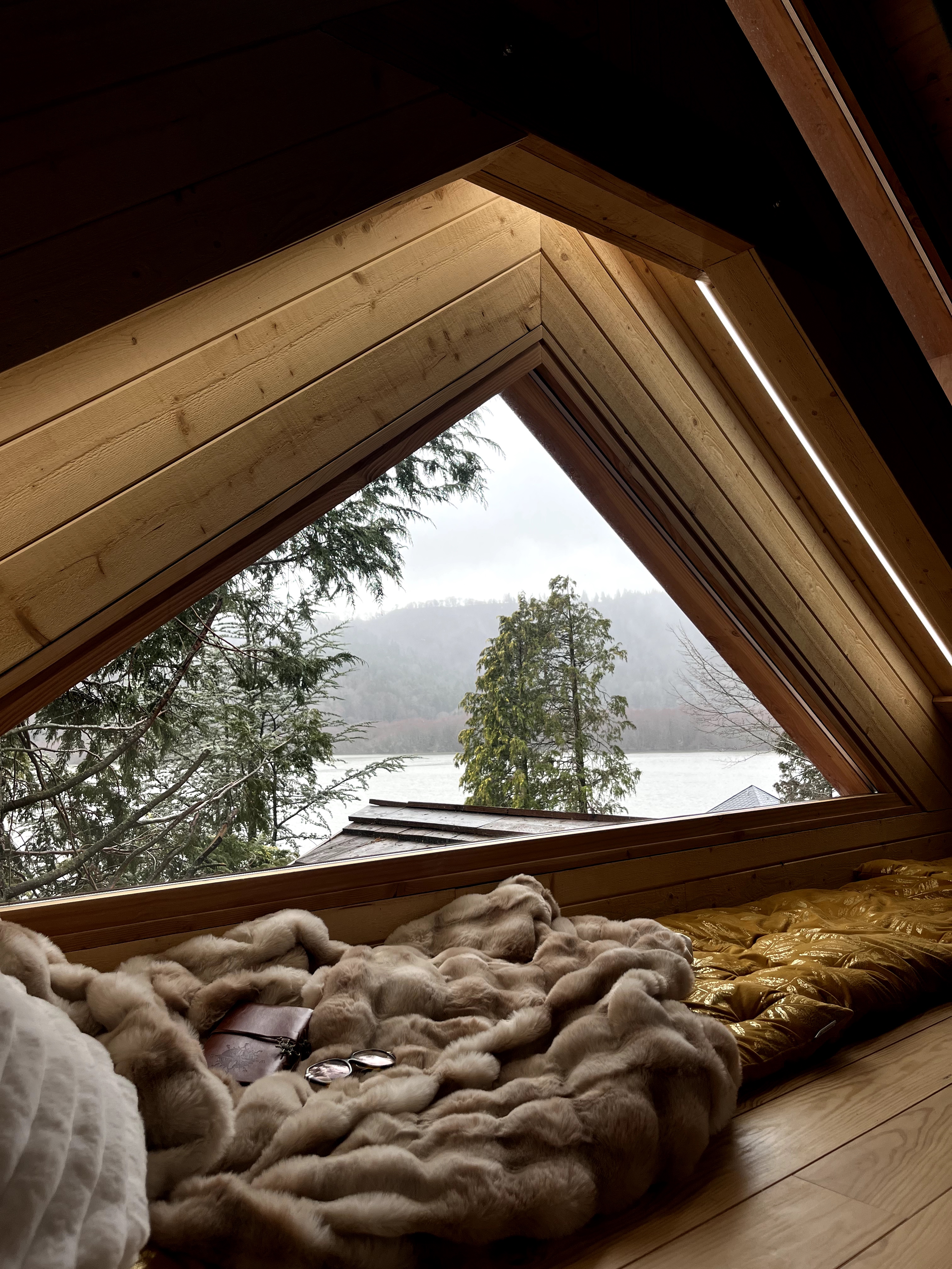 Lac'abane spa'bulleuse — Cabane sur pilotis avec spa au Puy-de-Dôme à Chambon-sur-Lac — espace de vie
