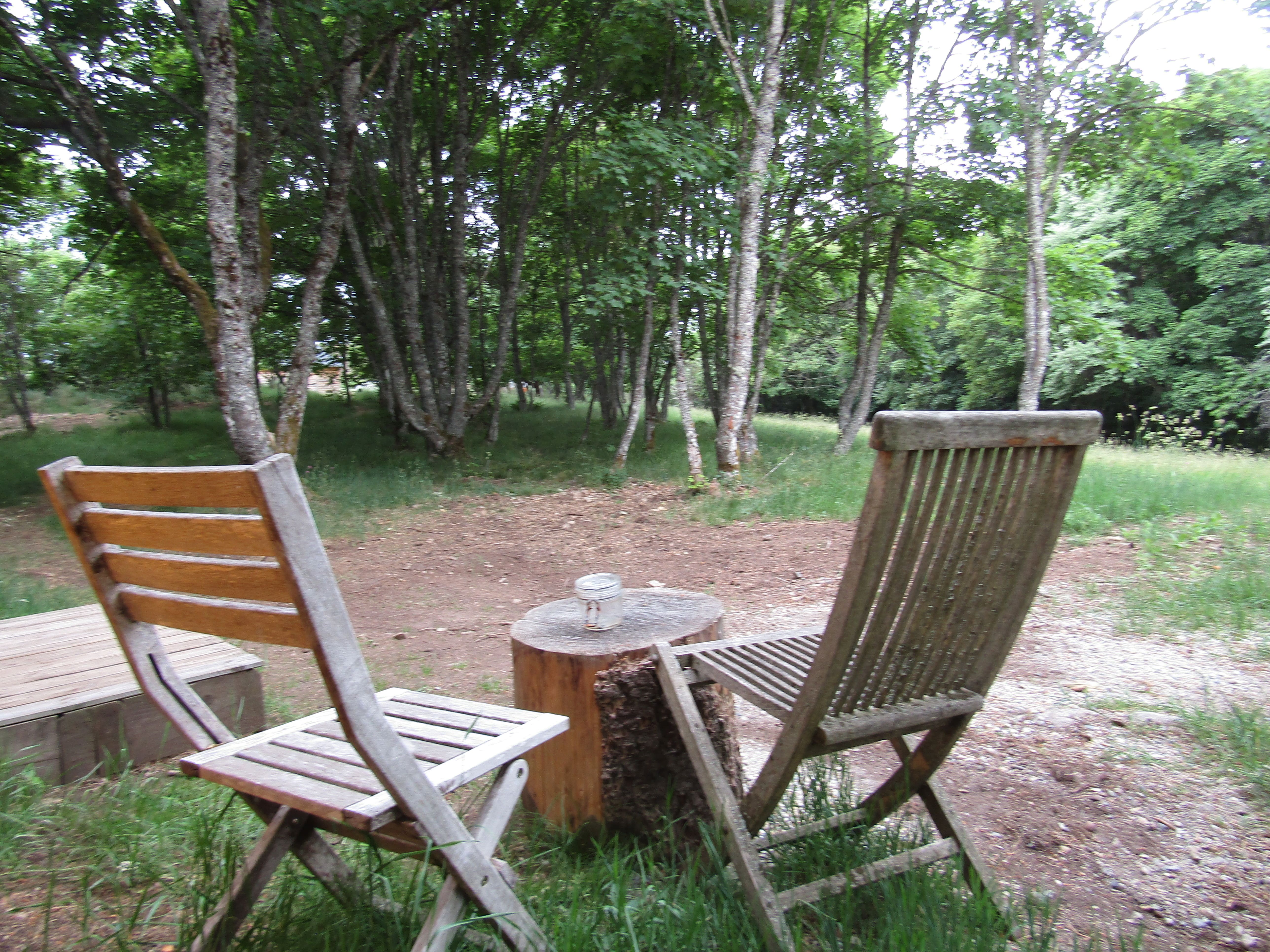Cabane Carabosse : un séjour enchanteur en pleine nature à Cros De Géorand — espace de vie