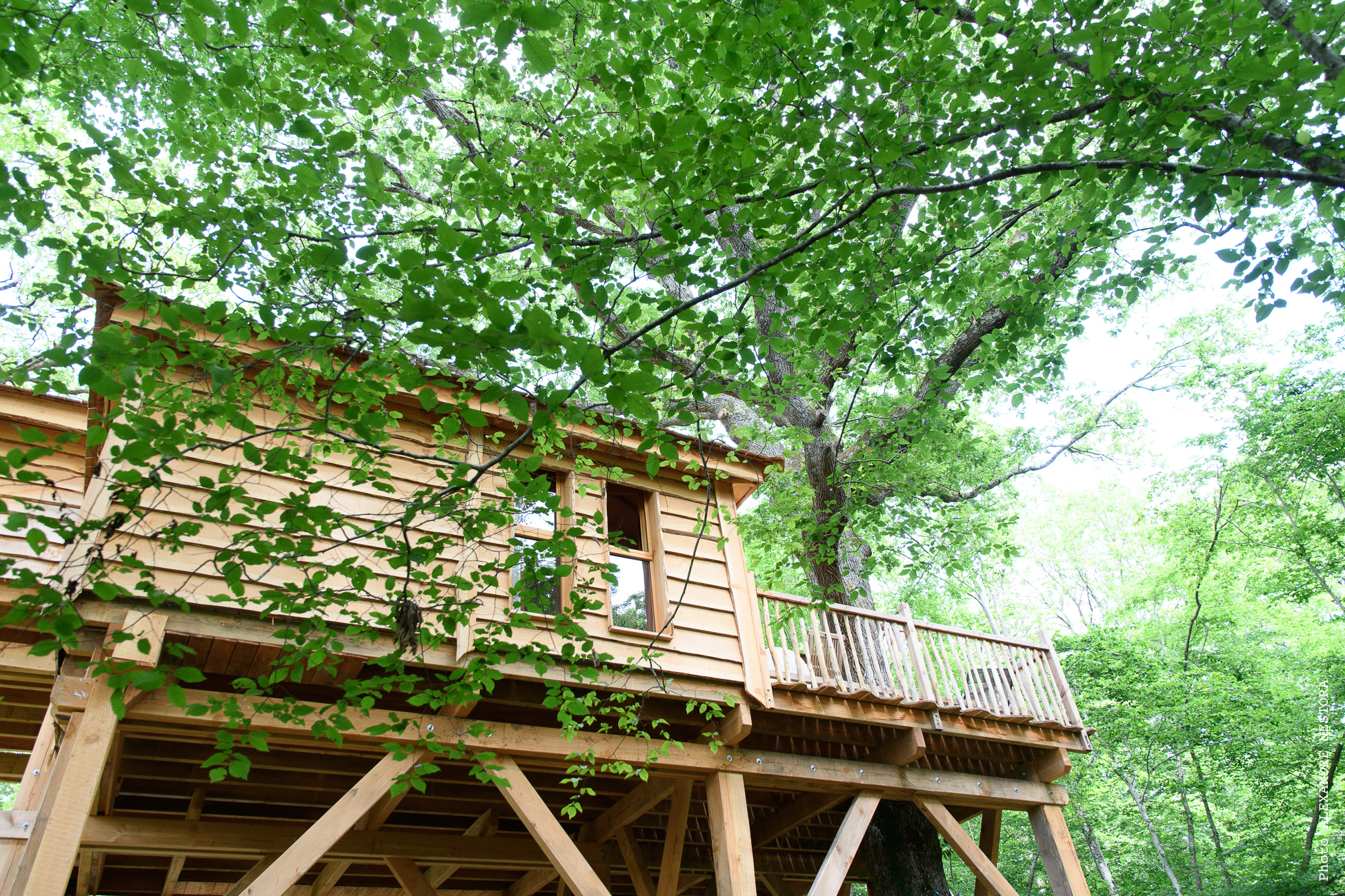 La Cabane aux Oiseaux & Spa : une expérience suspendue dans les arbres à La Bussière — vue depuis la terrasse