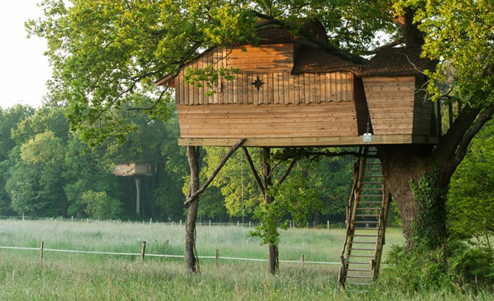 La cabane perchée de Sterenn : une expérience unique dans les arbres