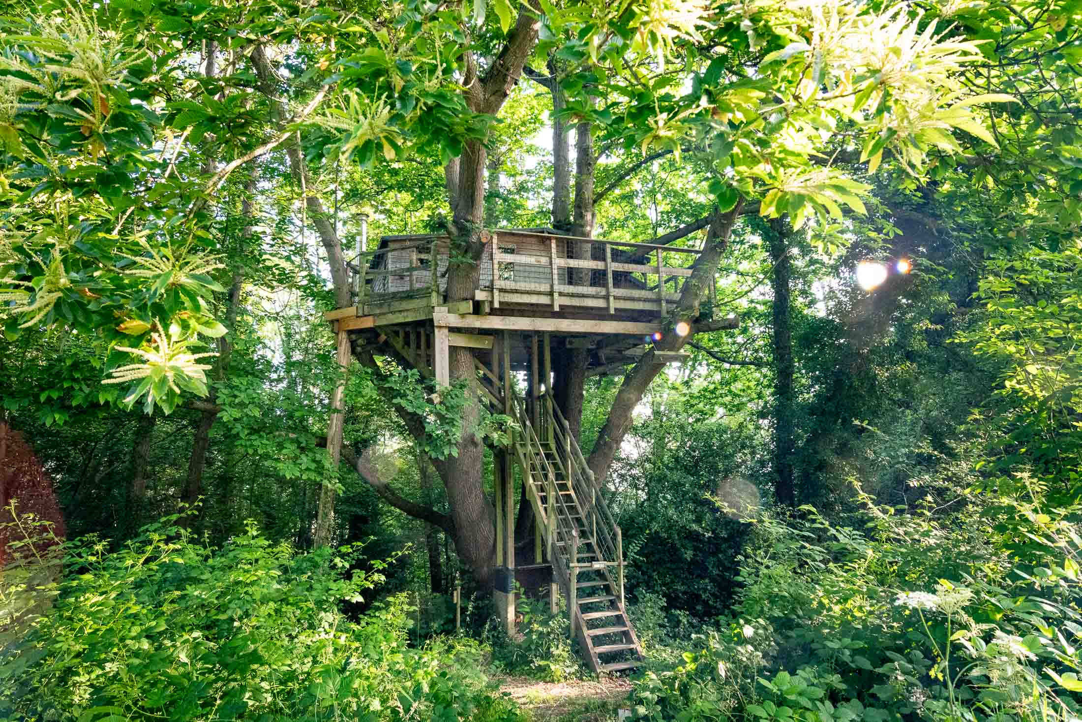 Cabane Pivert — Nuit perchée à 8m dans un châtaignier en Calvados
