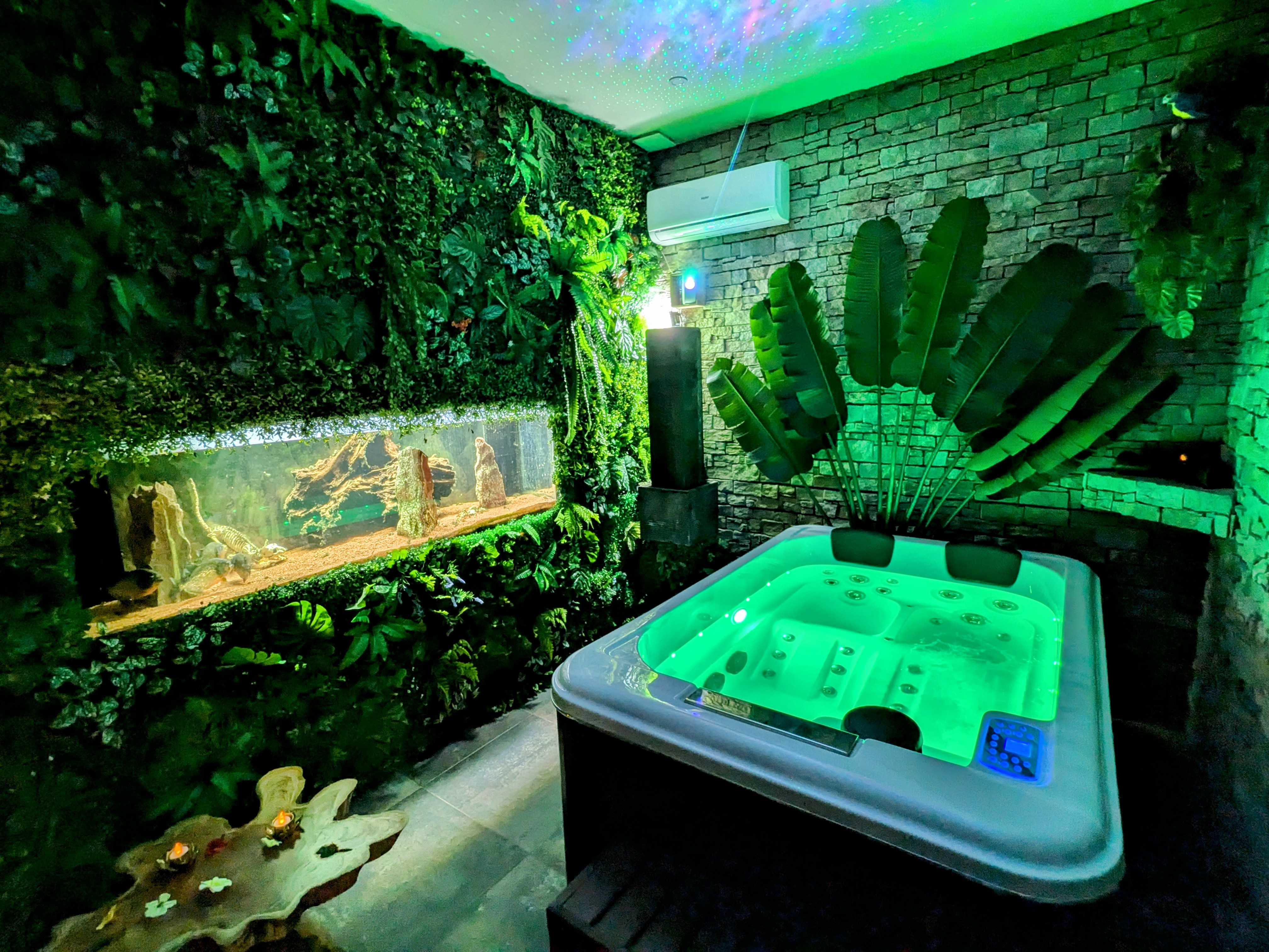 Nuit insolite avec Spa — Maison immersive en Amazonie à Agen