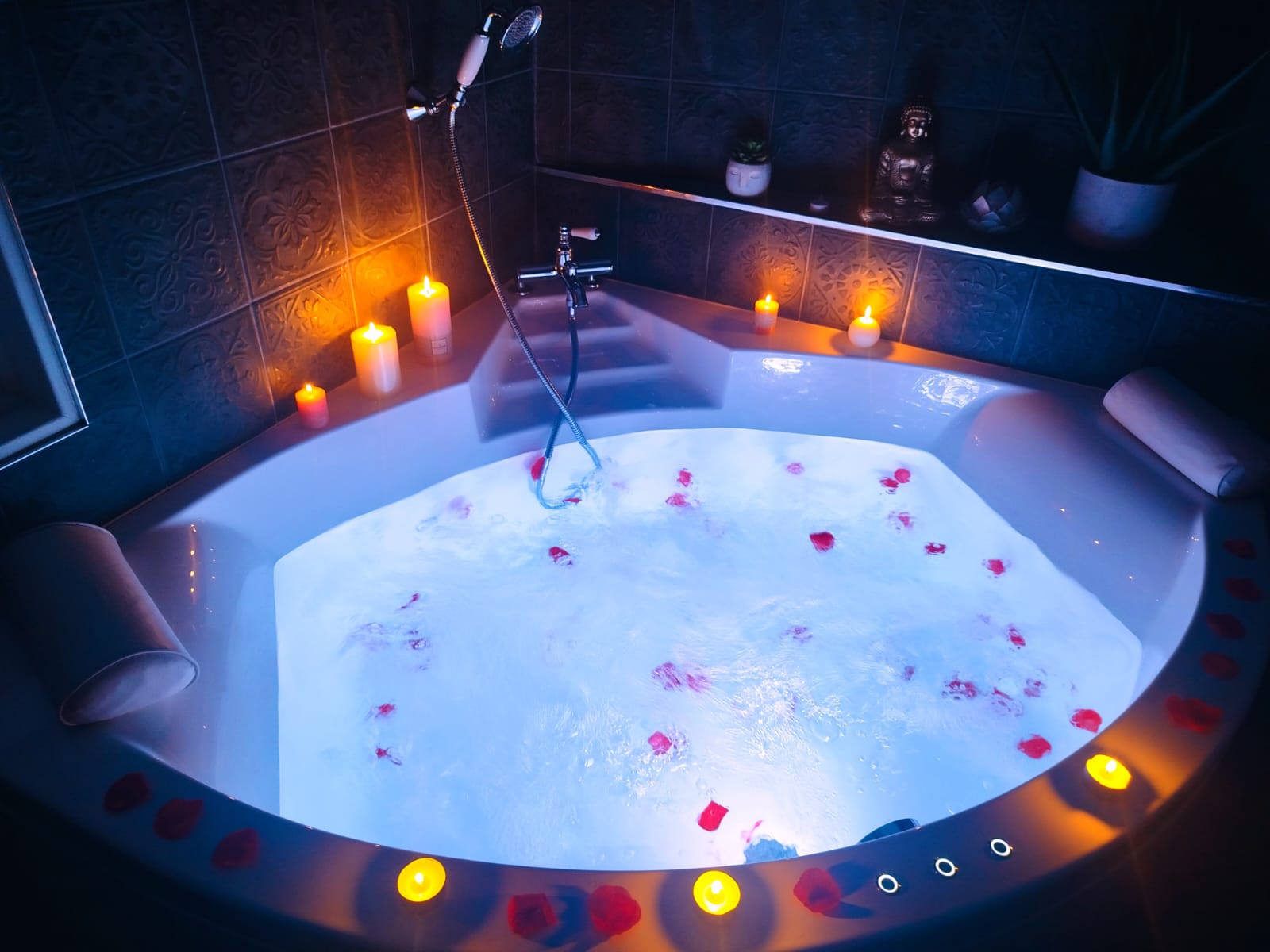 Jungle romantique Spa & Cinéma — Cabane dans les arbres à Amiens à Amiens — vue intérieure