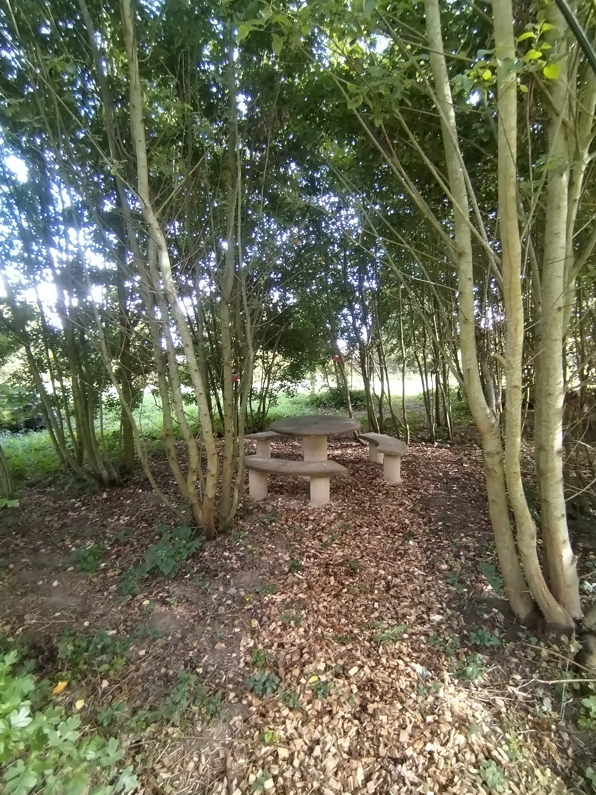 Zome Sweet Zome & Bain nordique