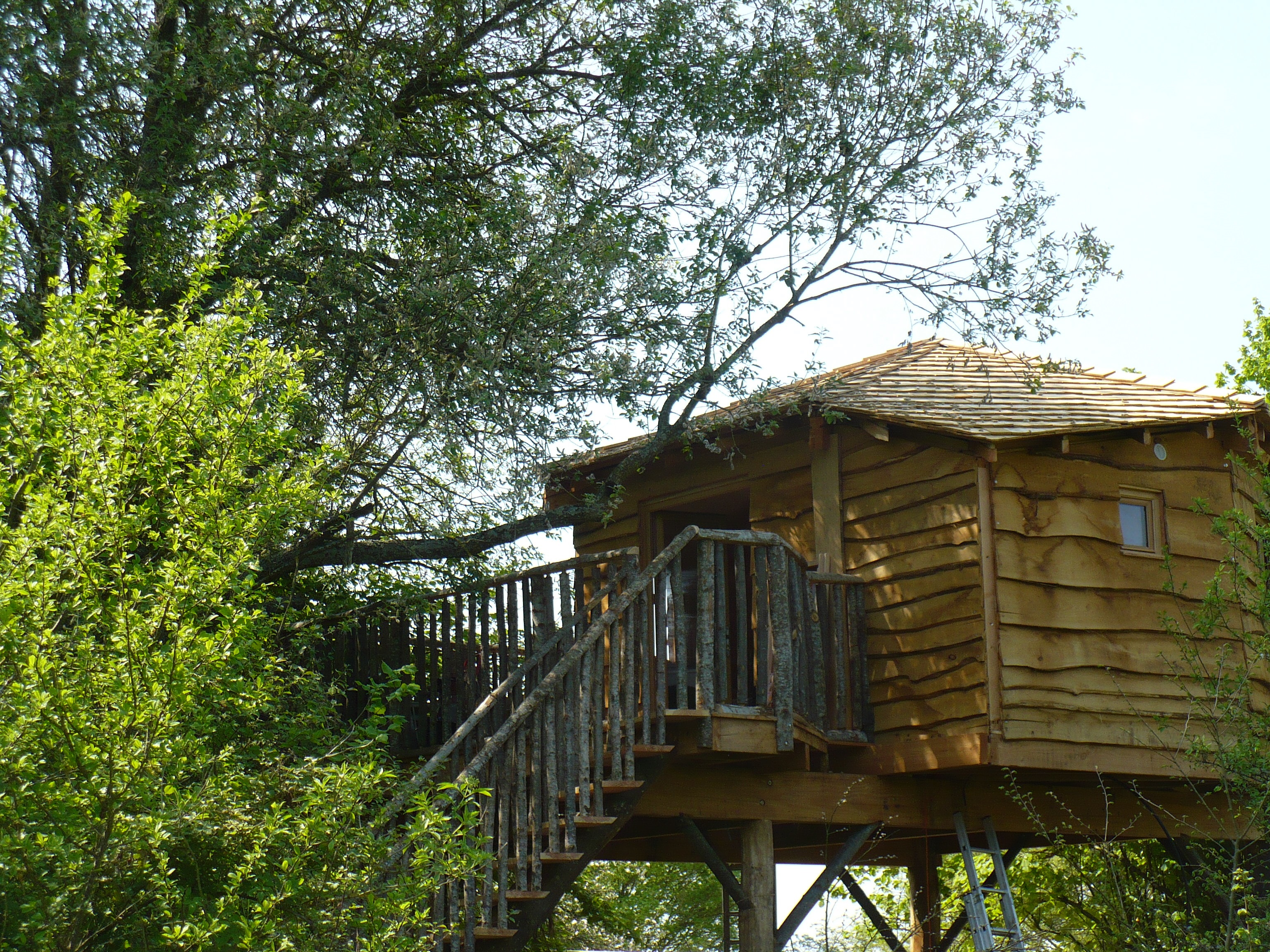 Cabane Ecureuil : une expérience suspendue dans les arbres
