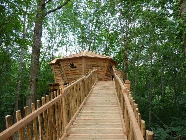 Diane : une cabane dans les arbres au cœur de l'Aquitaine à Loubieng — cuisine