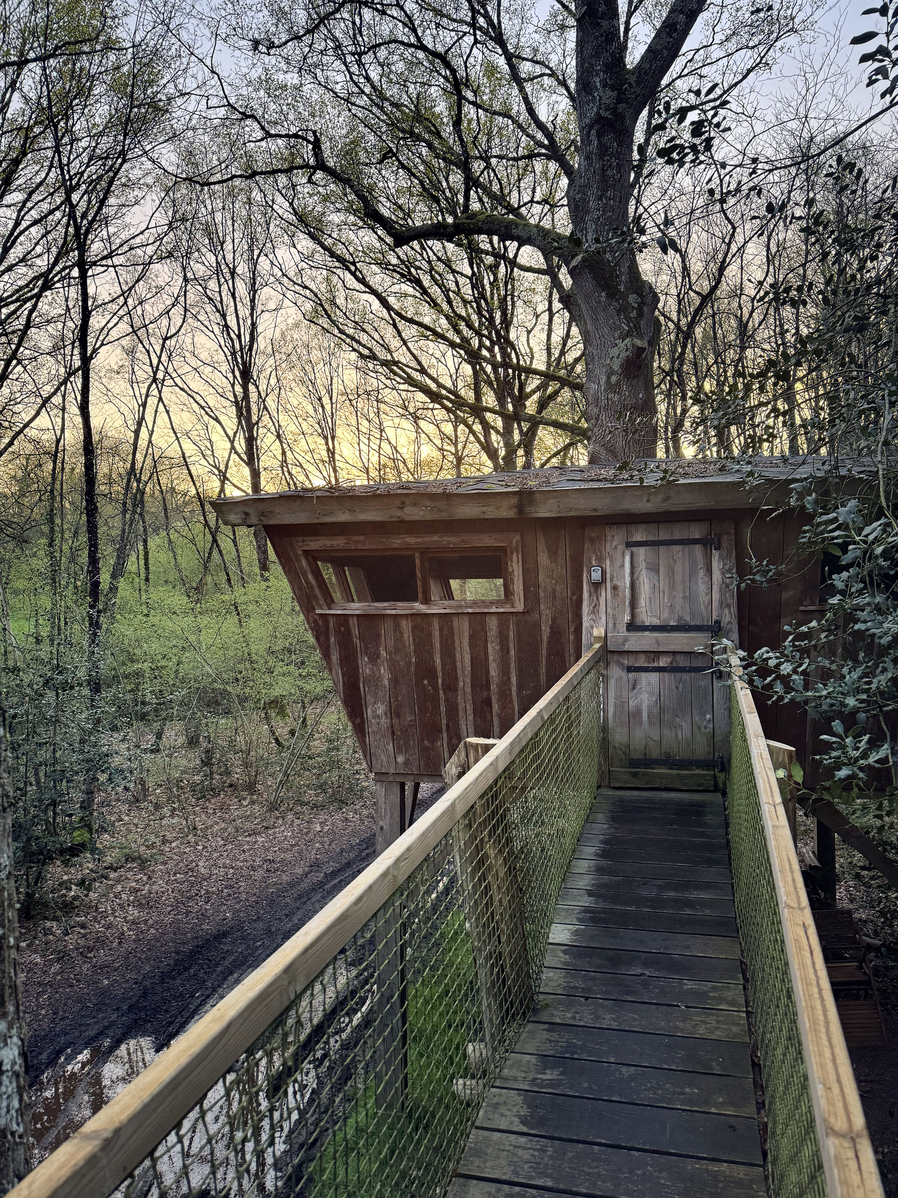 Cabane Mésange — Cabane sur pilotis à 8m en Mayenne à L'Orbière — salle de bain