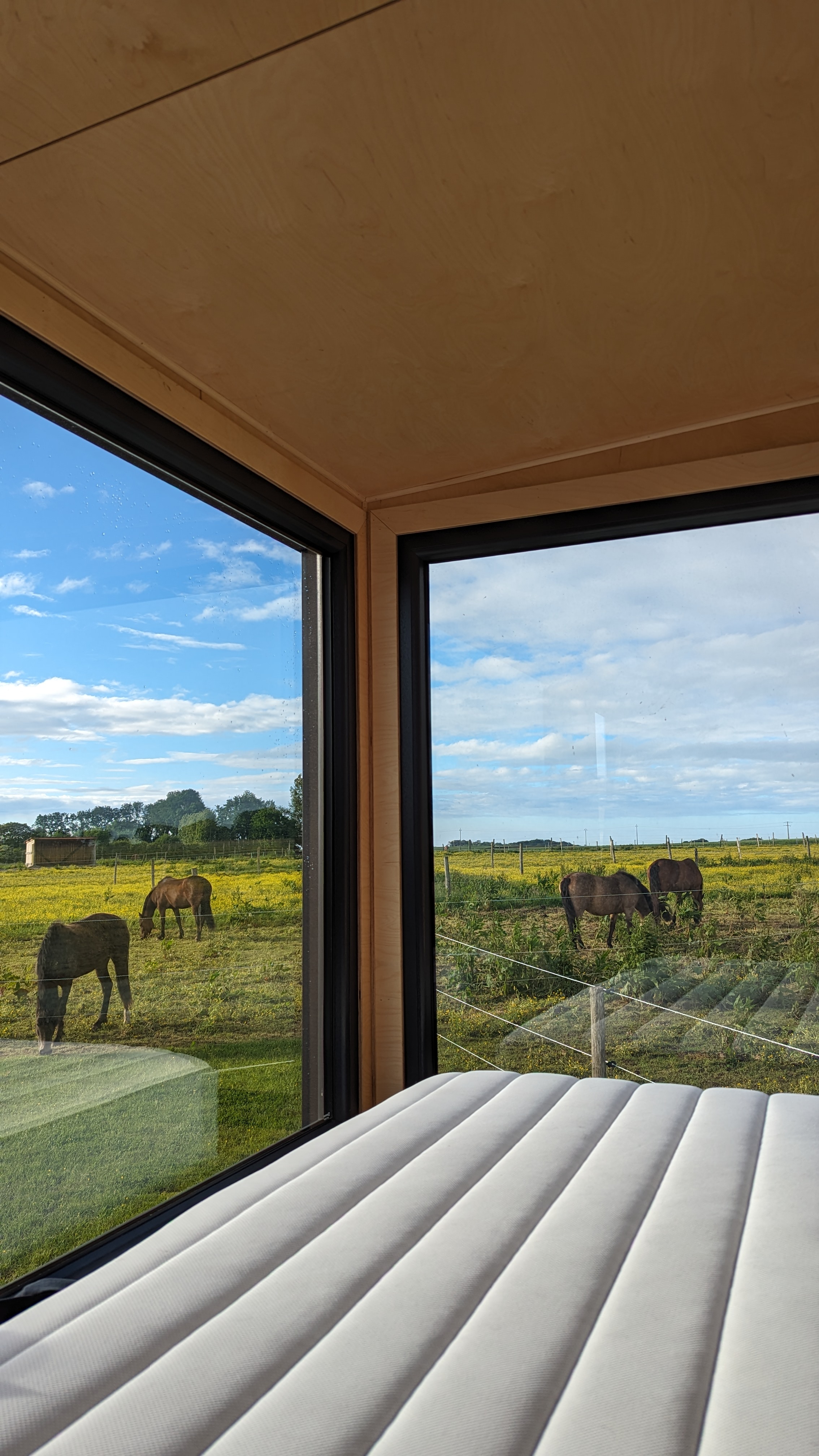 Tiny House La Cavalerie : une évasion en pleine nature à Etretat — environnement naturel
