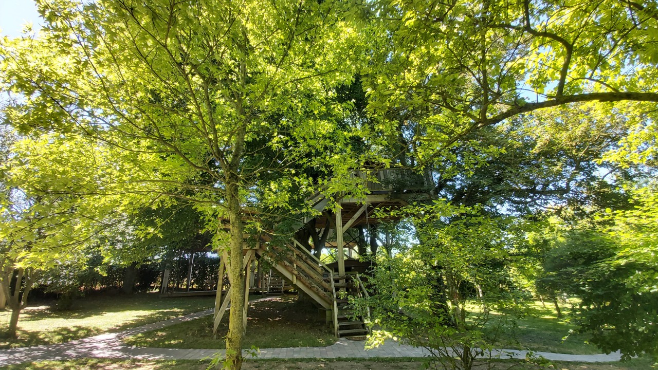 Évasion en cabane dans les arbres en Picardie à Essuiles — vue intérieure