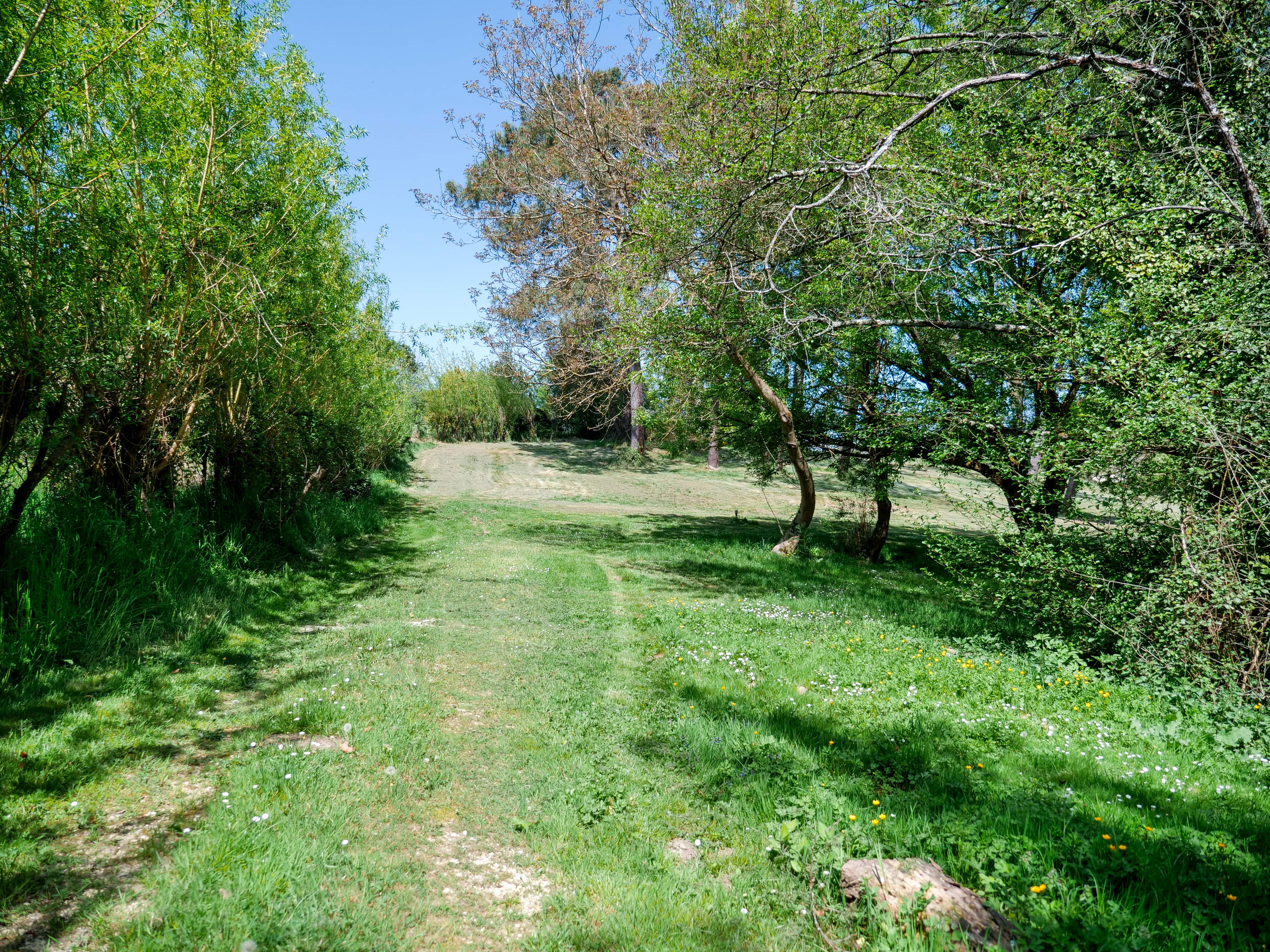 Photo 2/9 — Cabane « Une cabane perchée au bord d'un lac privé en Aquitaine » à Sadirac Gironde